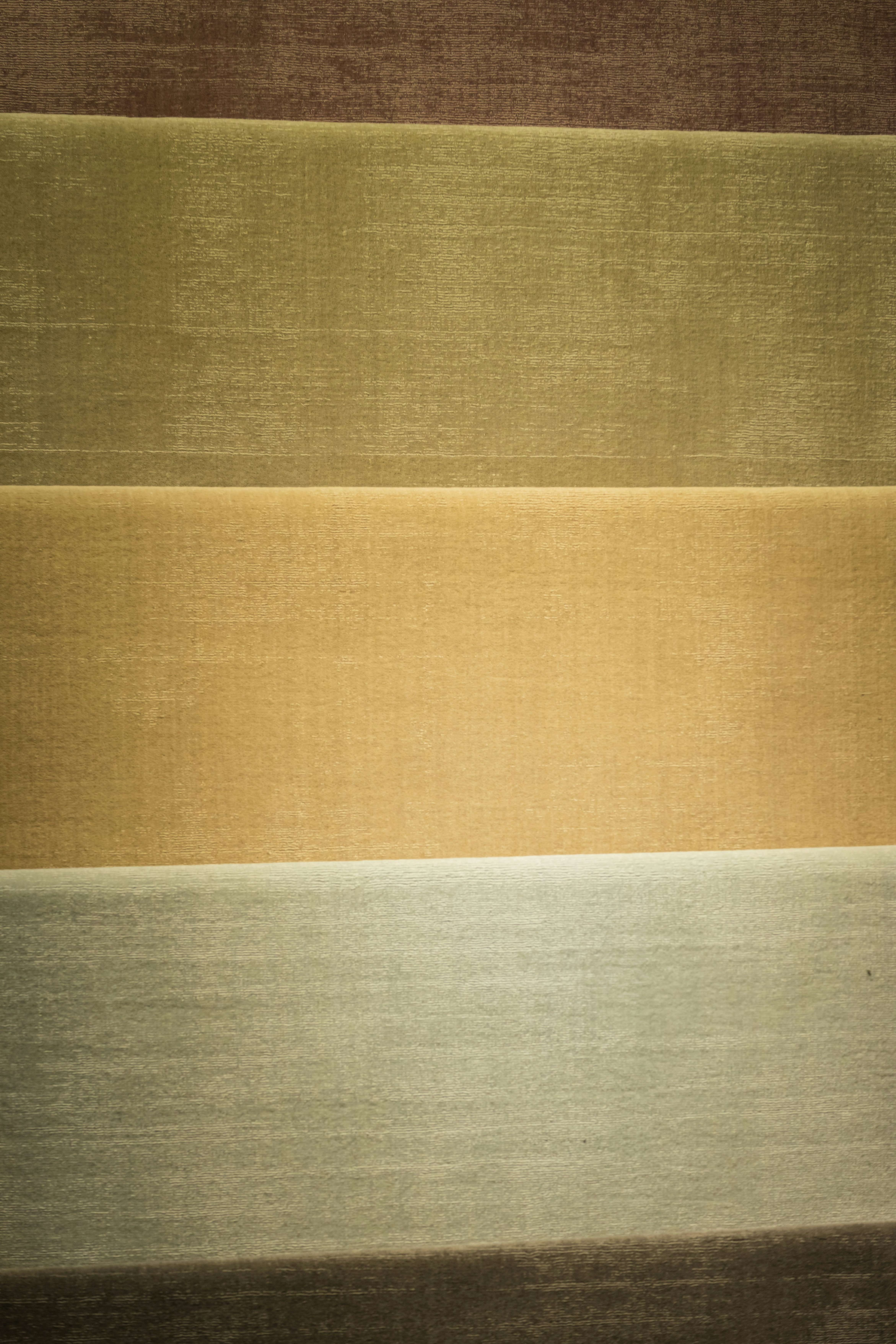 Photo by kameeru322813