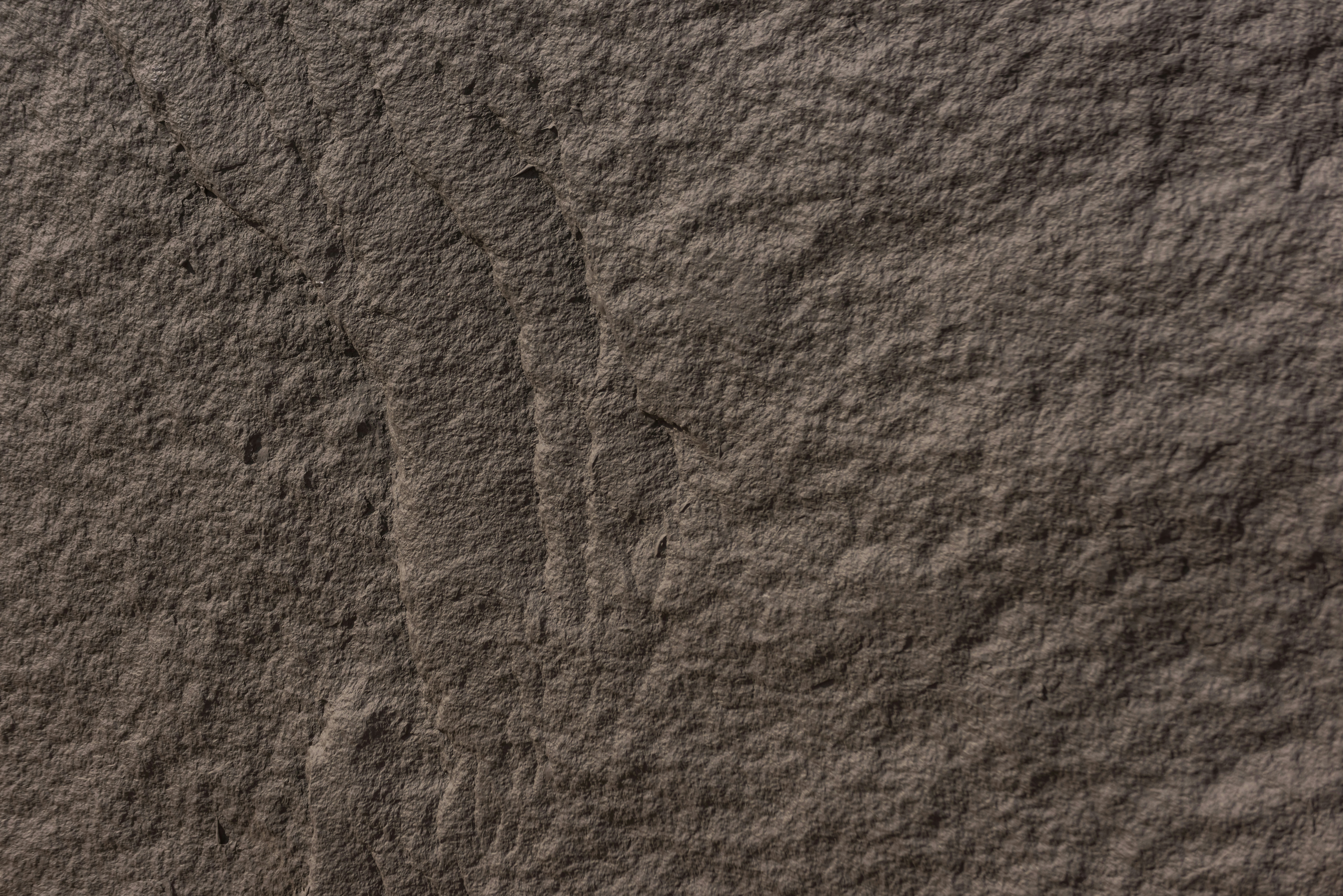 Photo by kameeru322813