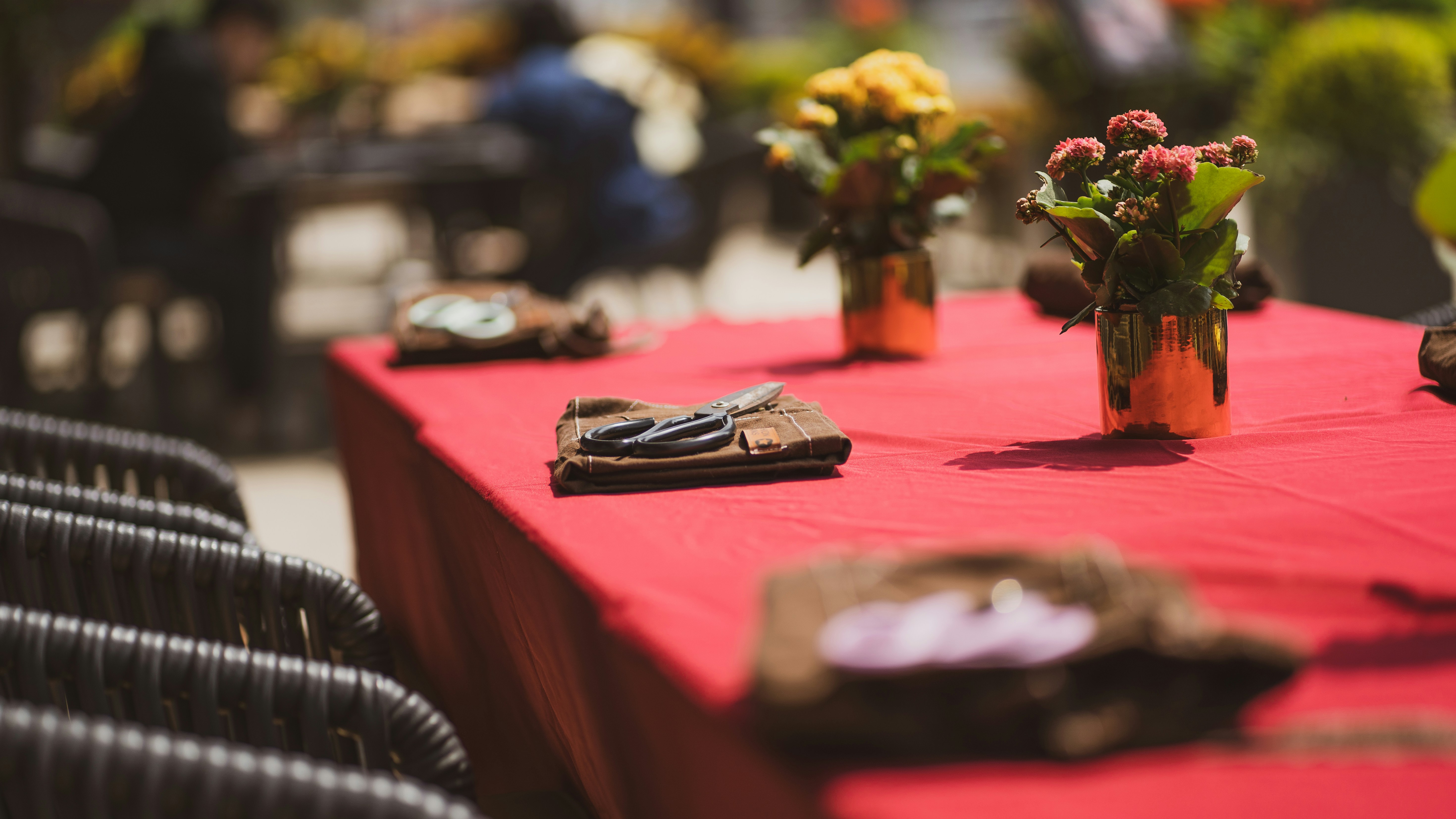 Event Planning Mentors & Coaches in Sydney