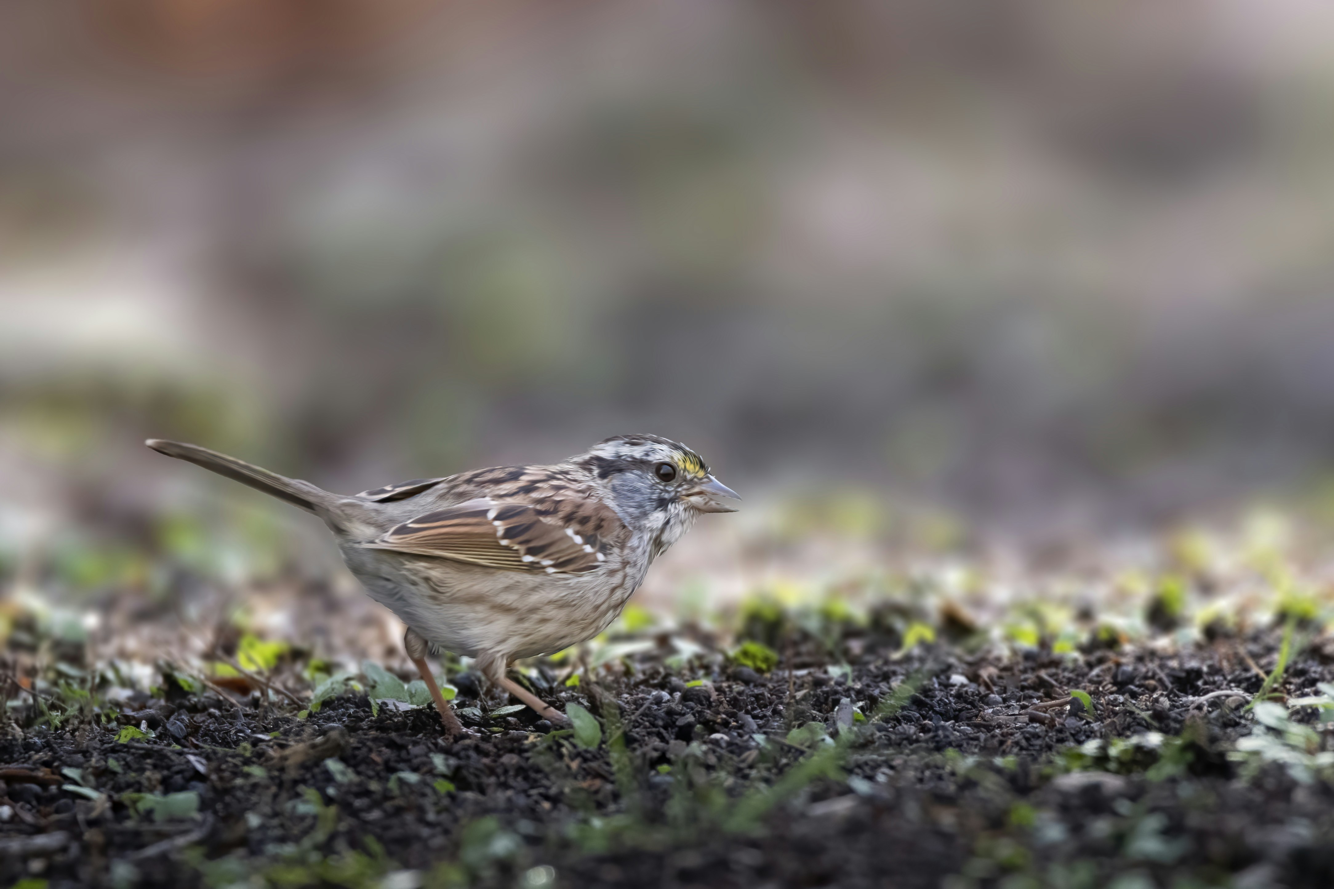 Photo by tracminhvu