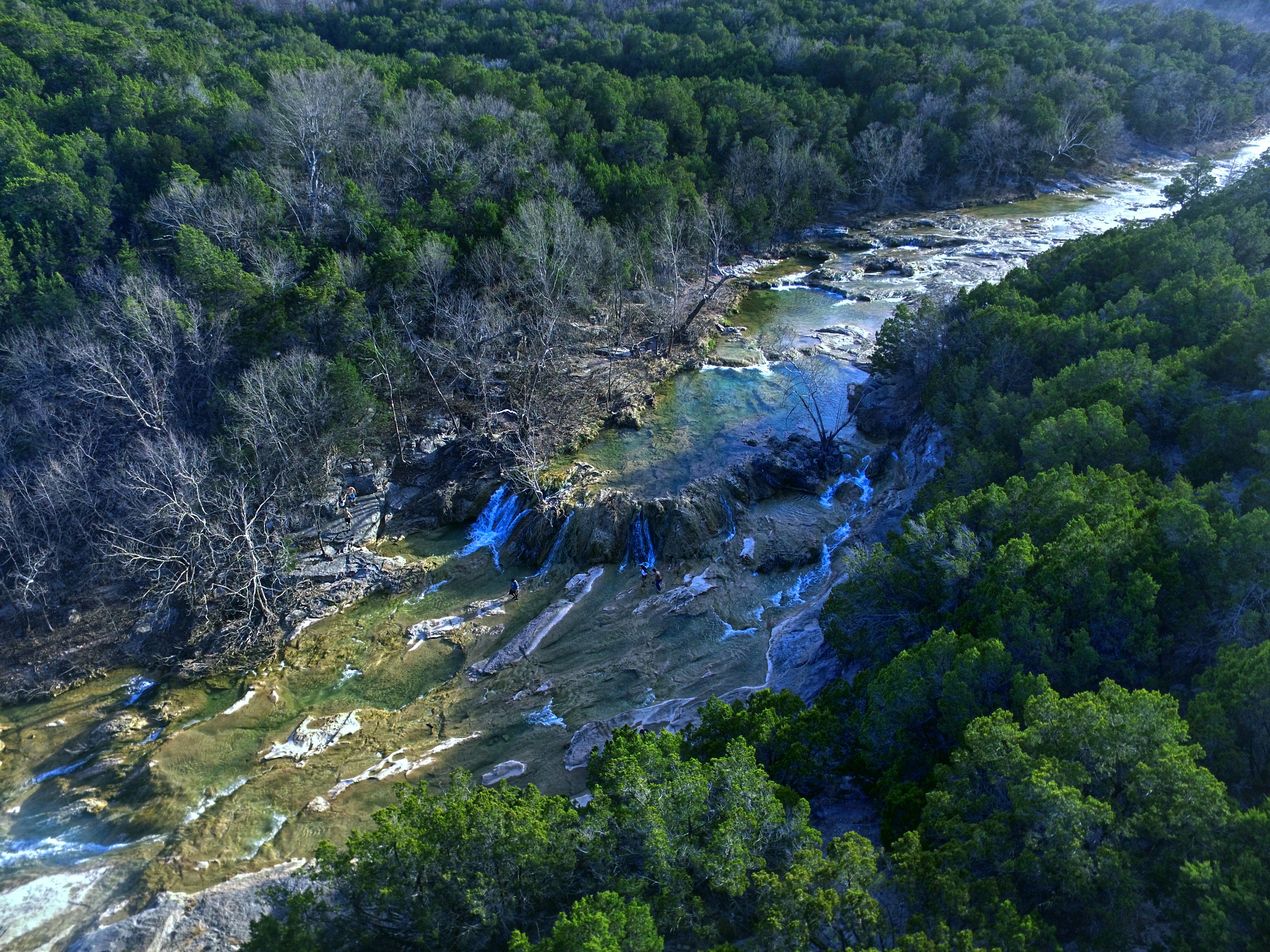 green trees on hill during daytime