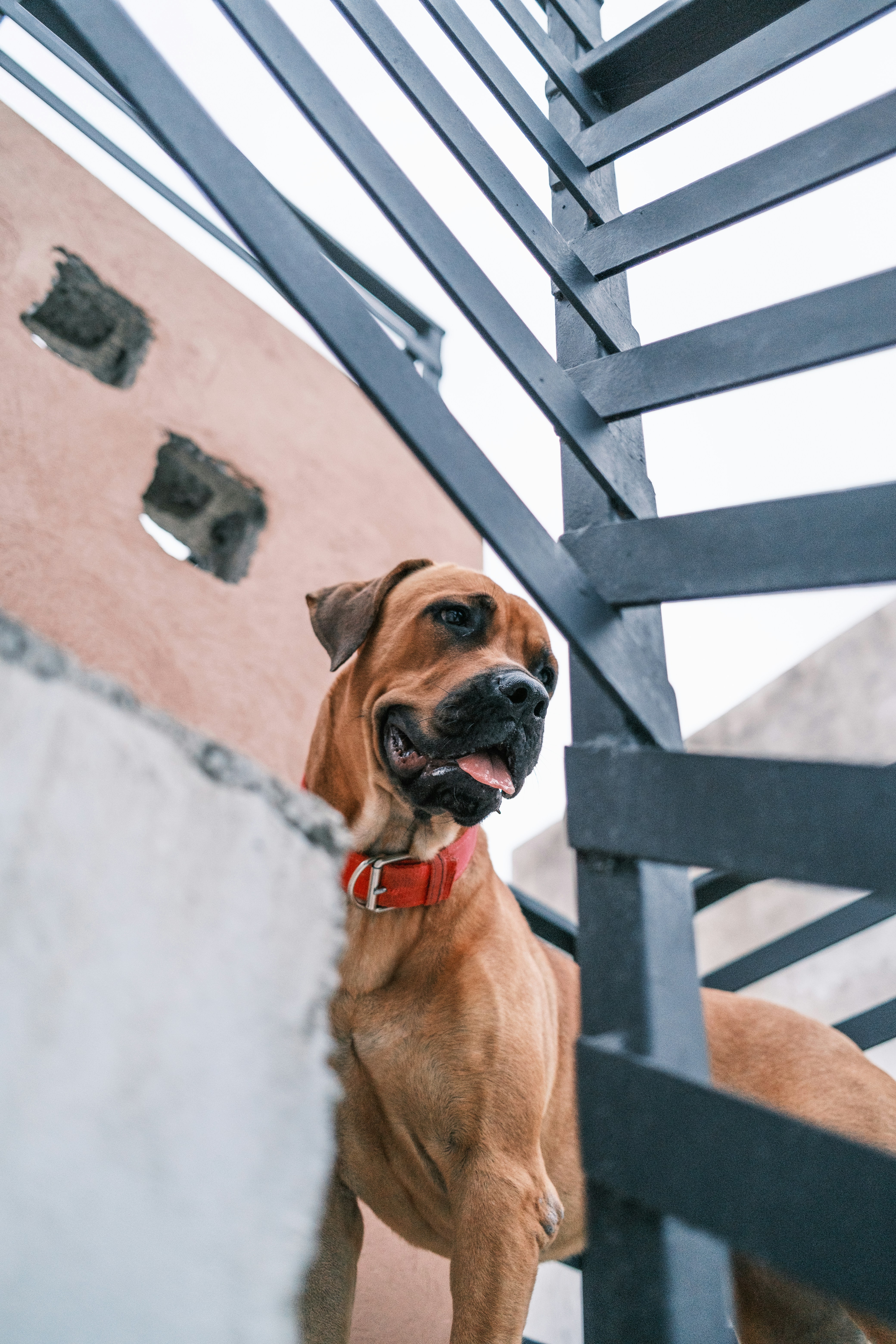 Photo by andrzjbrown