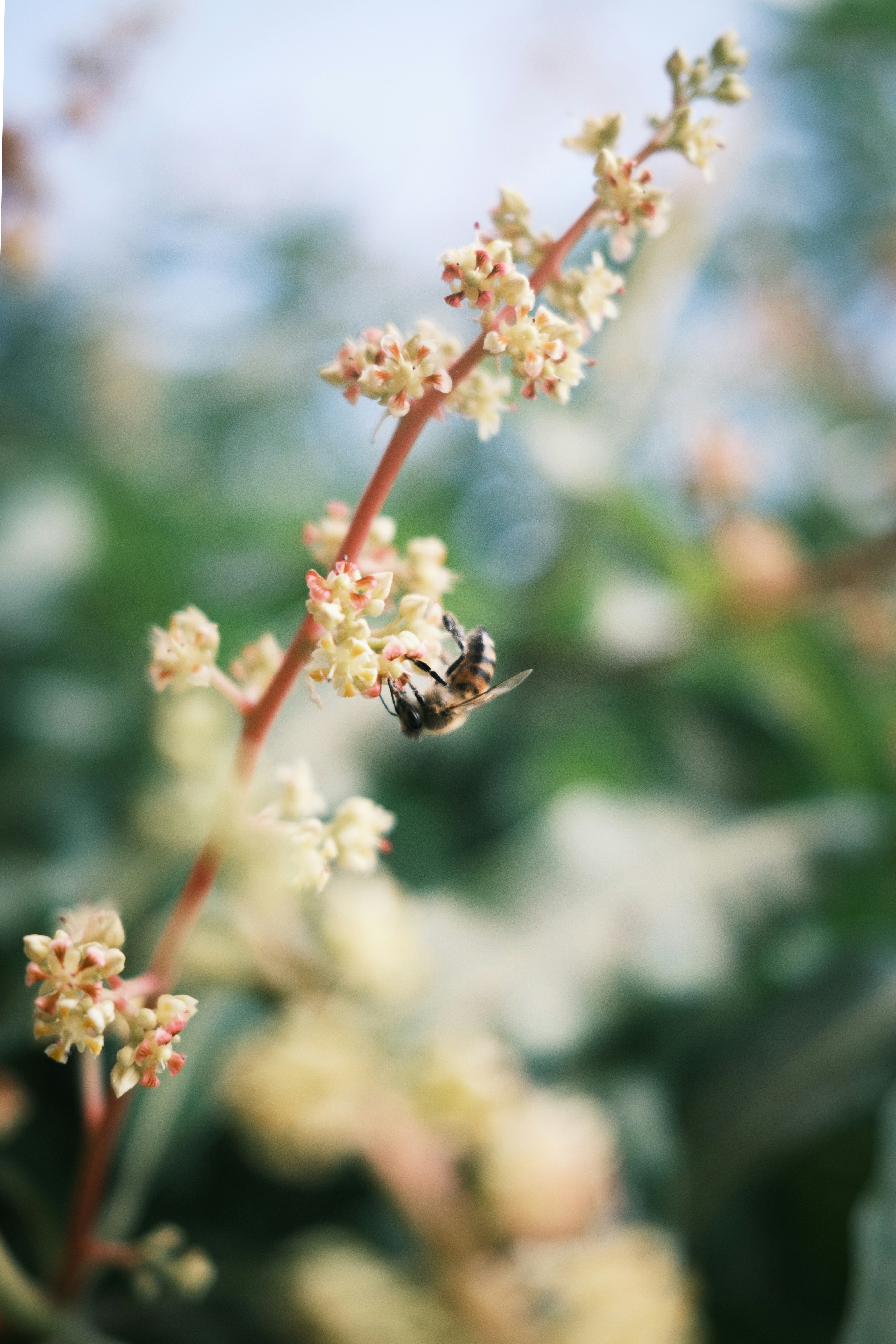 Photo by andrzjbrown