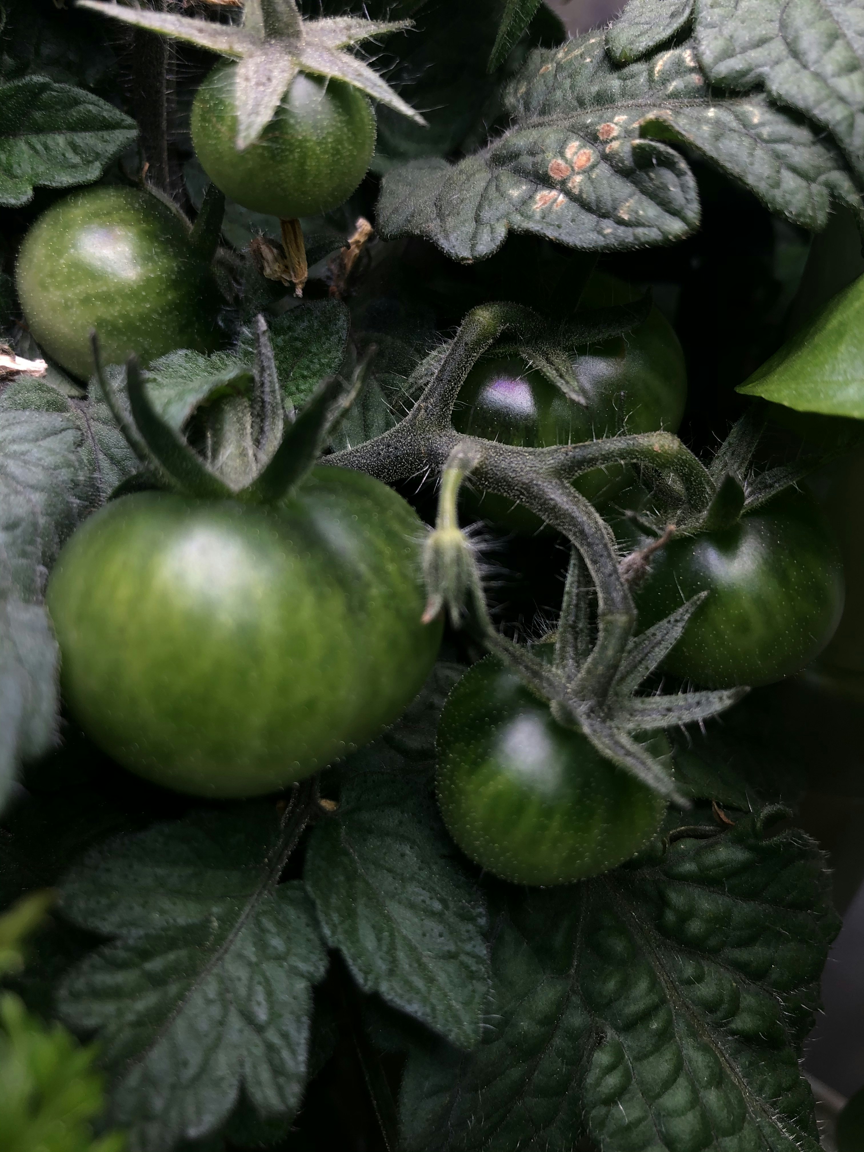 Photo by janinekrobinson