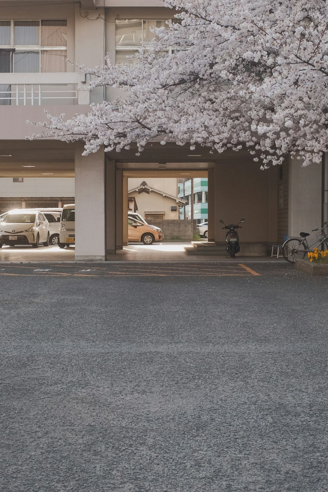 white car parked beside brown building