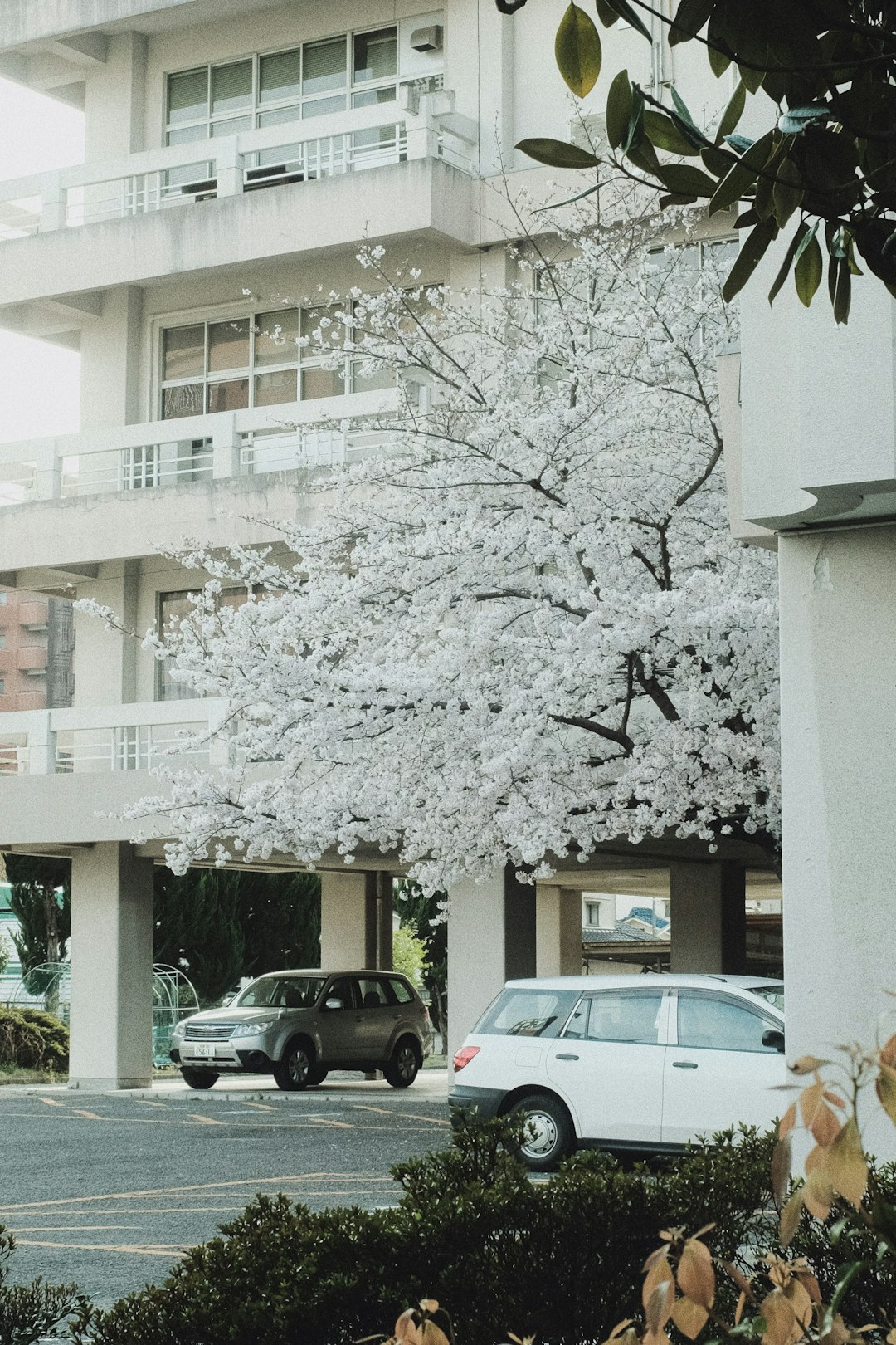 cars parked beside white building during daytime