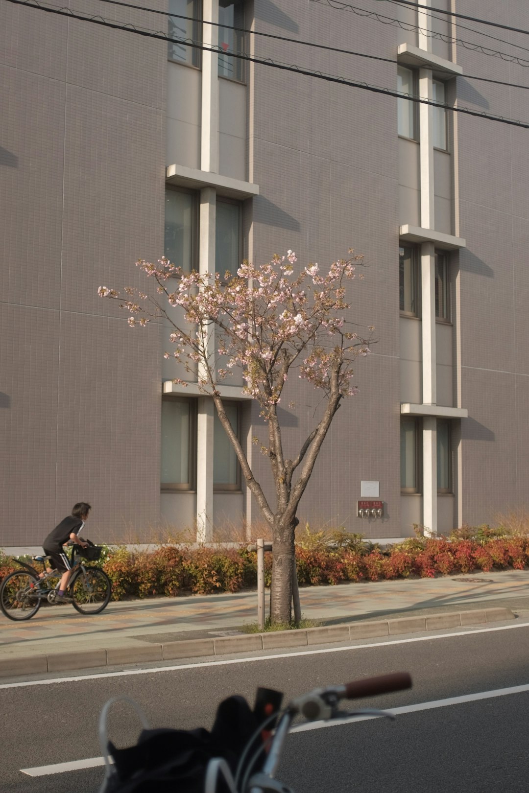 man in black jacket riding bicycle on road during daytime