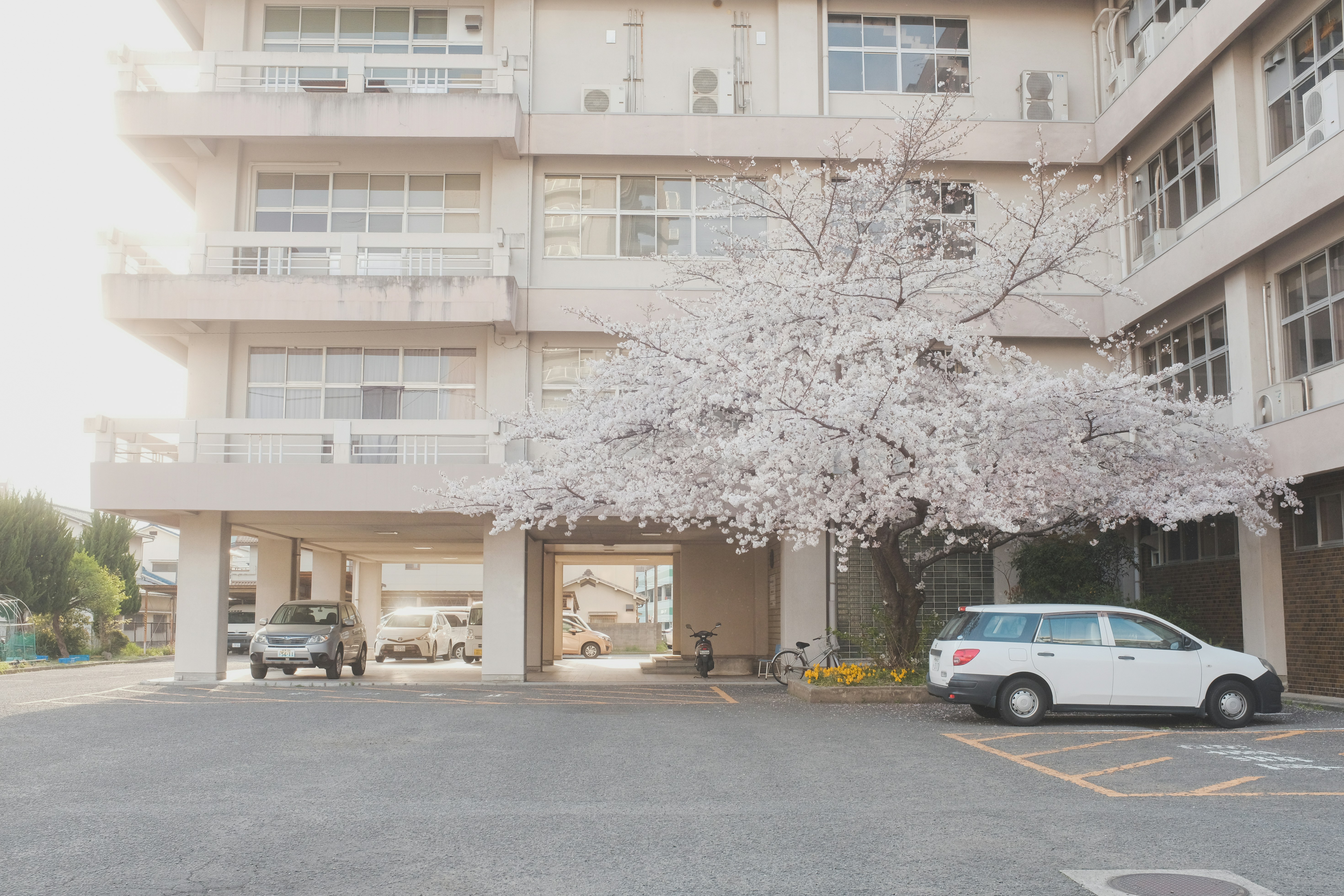 연산동 하지정맥 전문병원