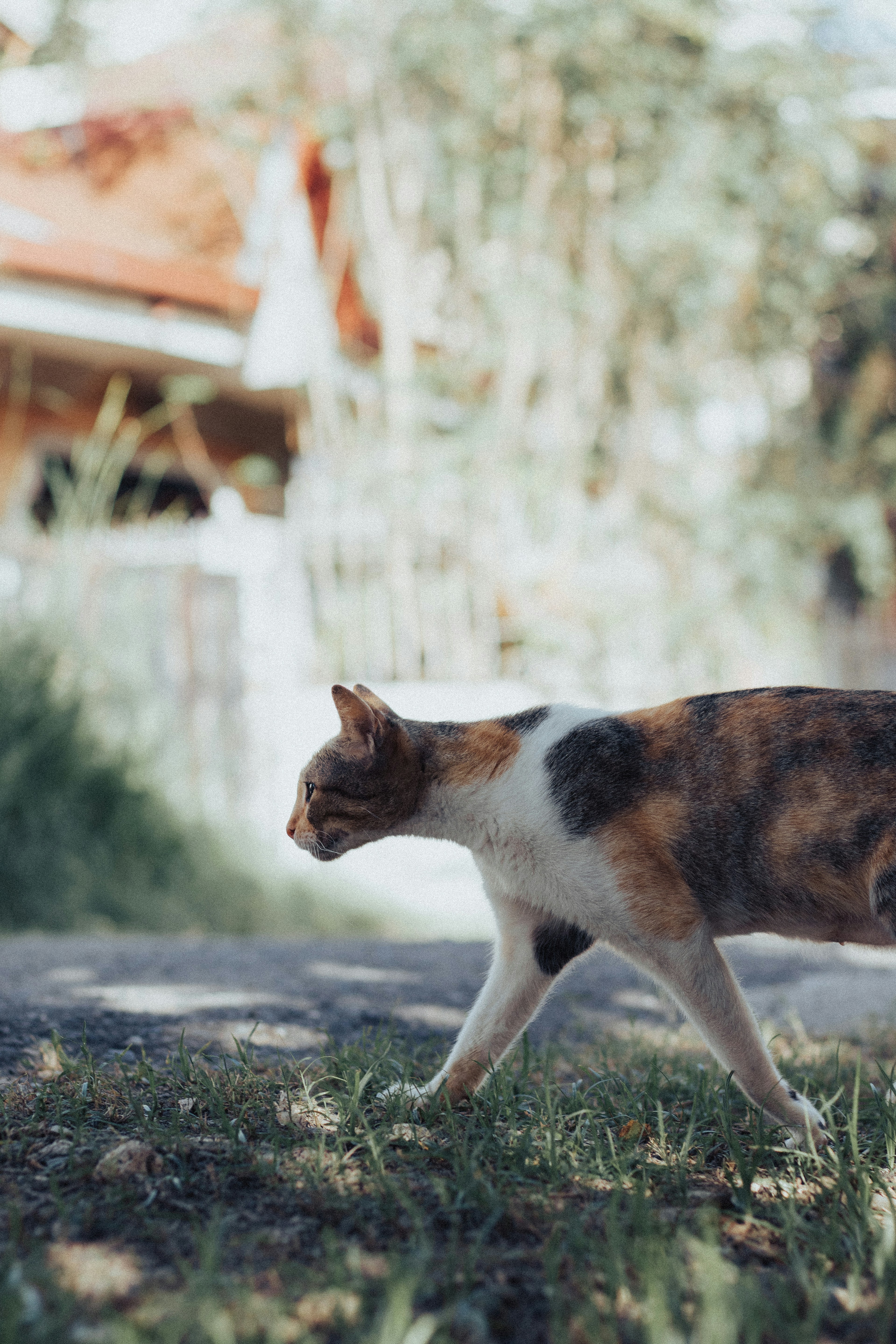 Photo by arnellebalane