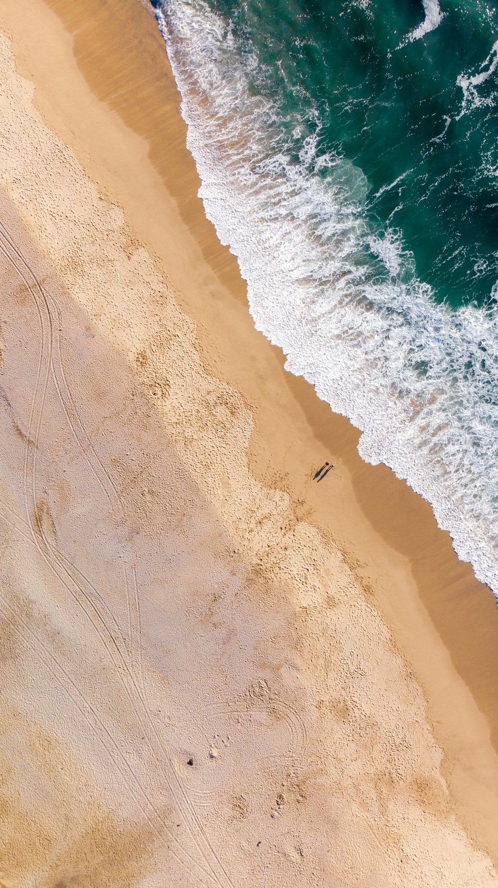 Plage de sable brun pendant la journée