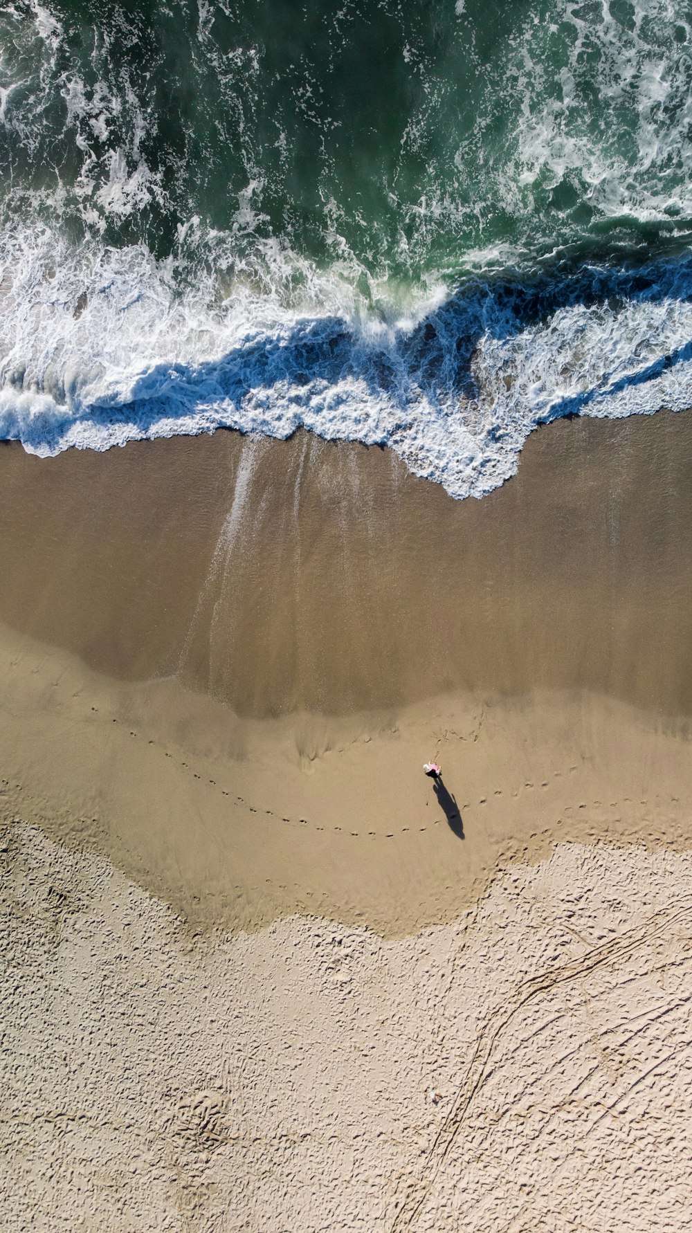 bird flying over body of water during daytime