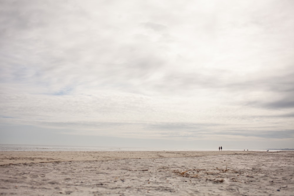 people on beach during daytime