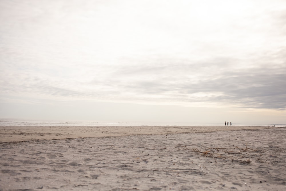 people on beach during daytime