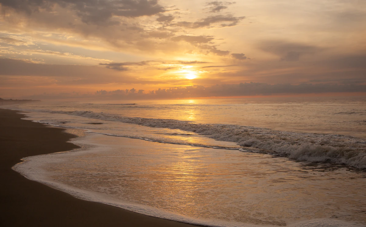 Edisto Beach at sunset