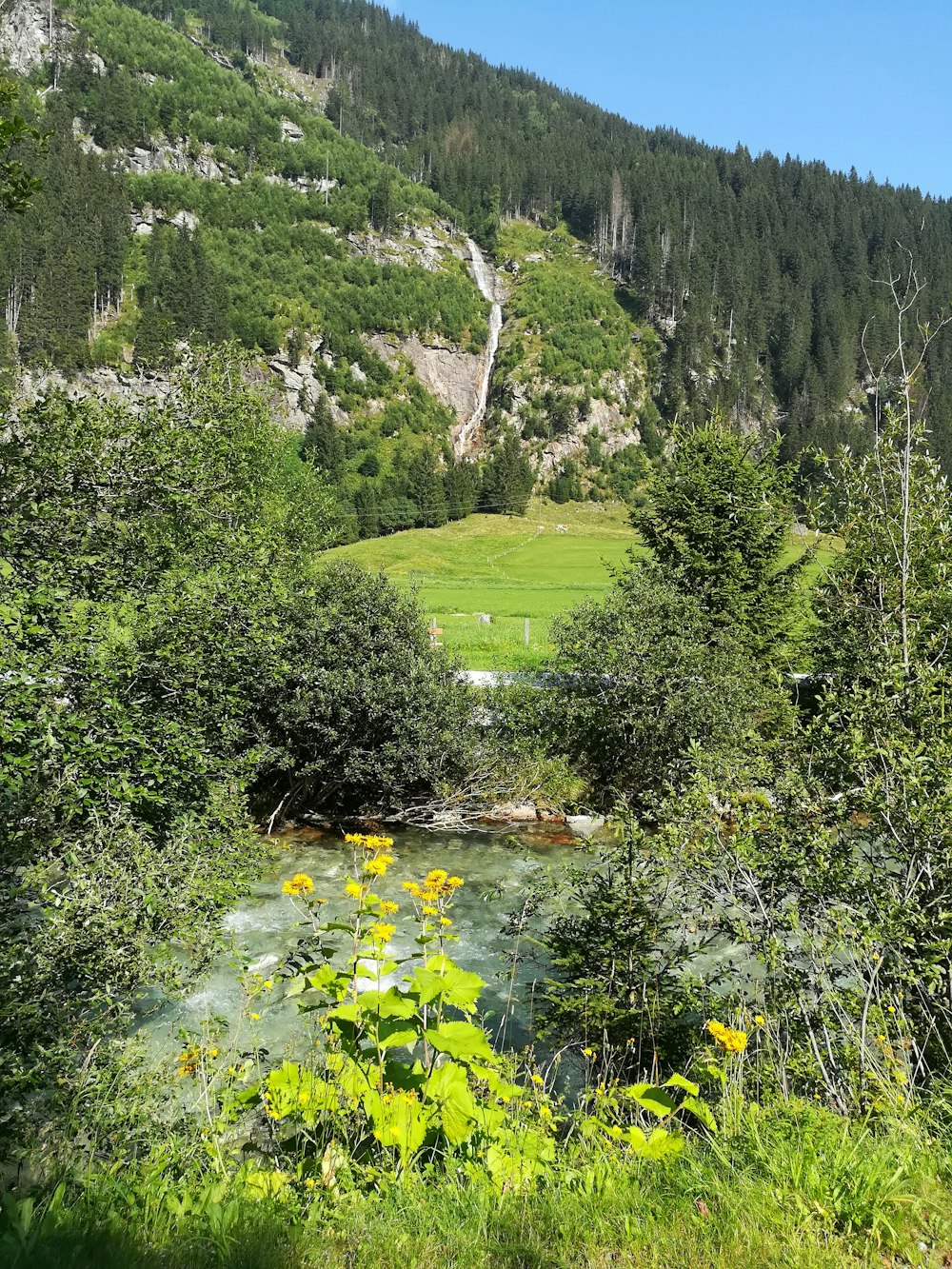 Grünes Grasfeld und Bäume in der Nähe des Berges tagsüber