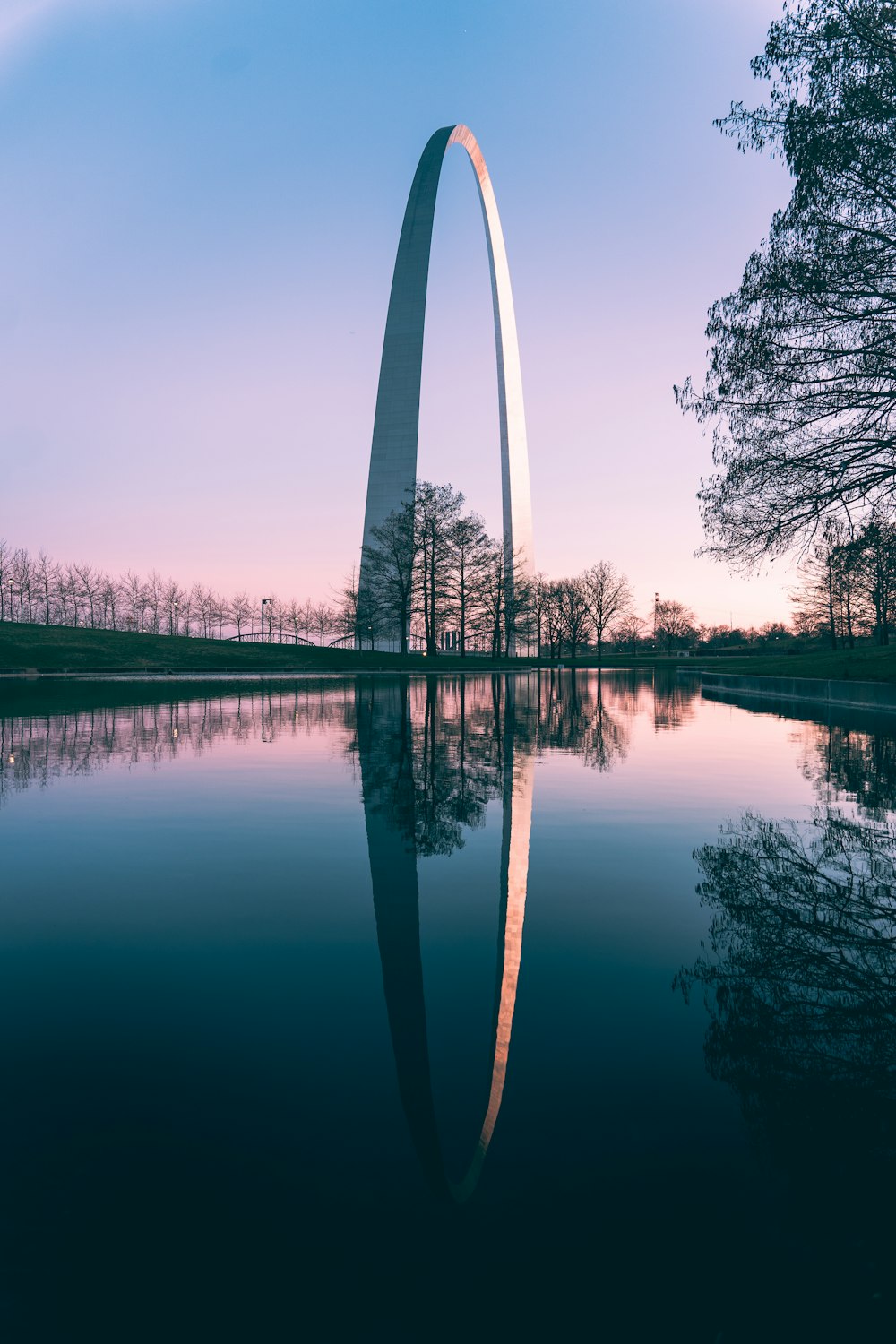 specchio d'acqua vicino agli alberi durante il giorno