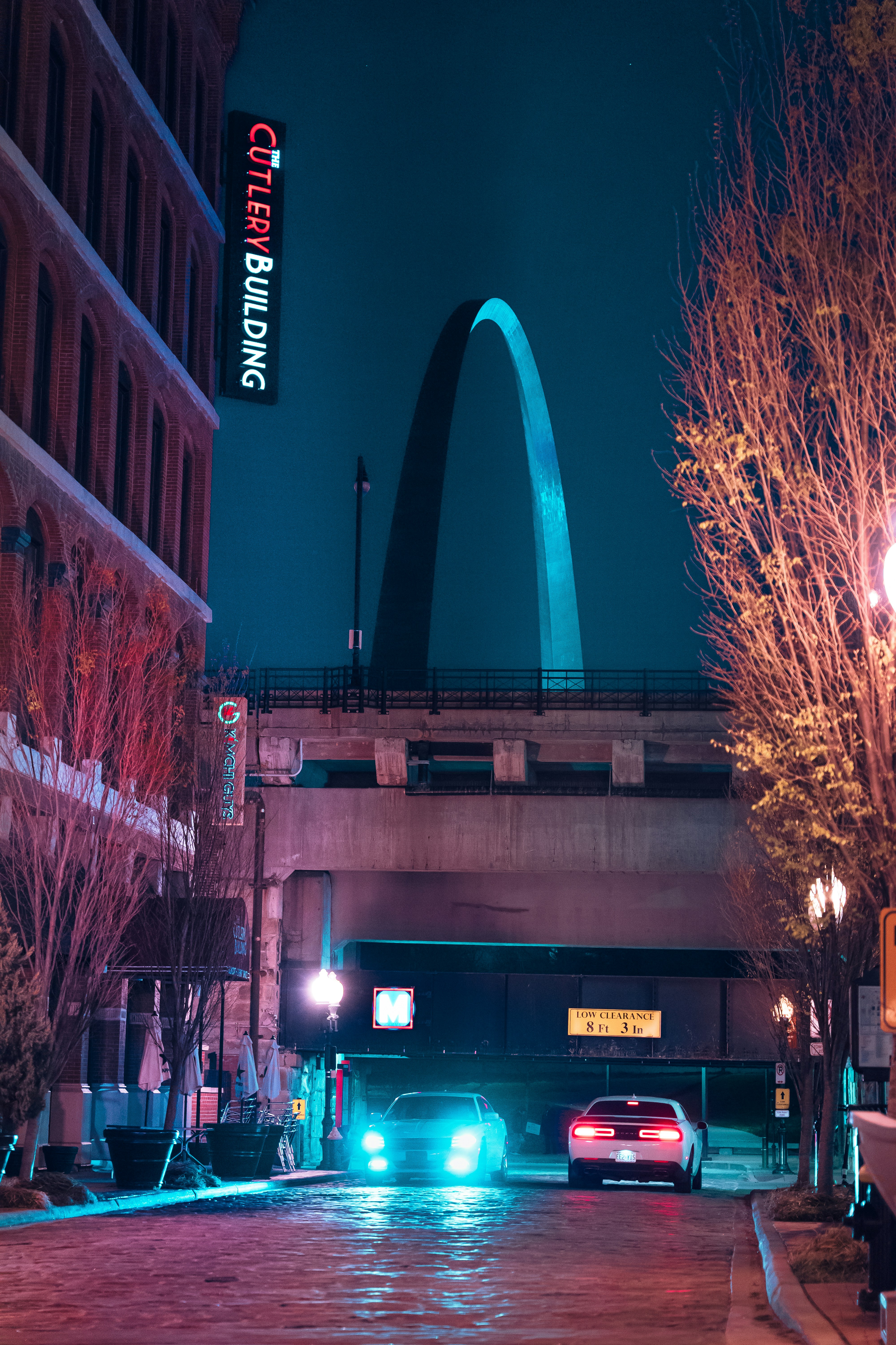 brauner kahler Baum in der Nähe von Gebäuden während der Nachtzeit