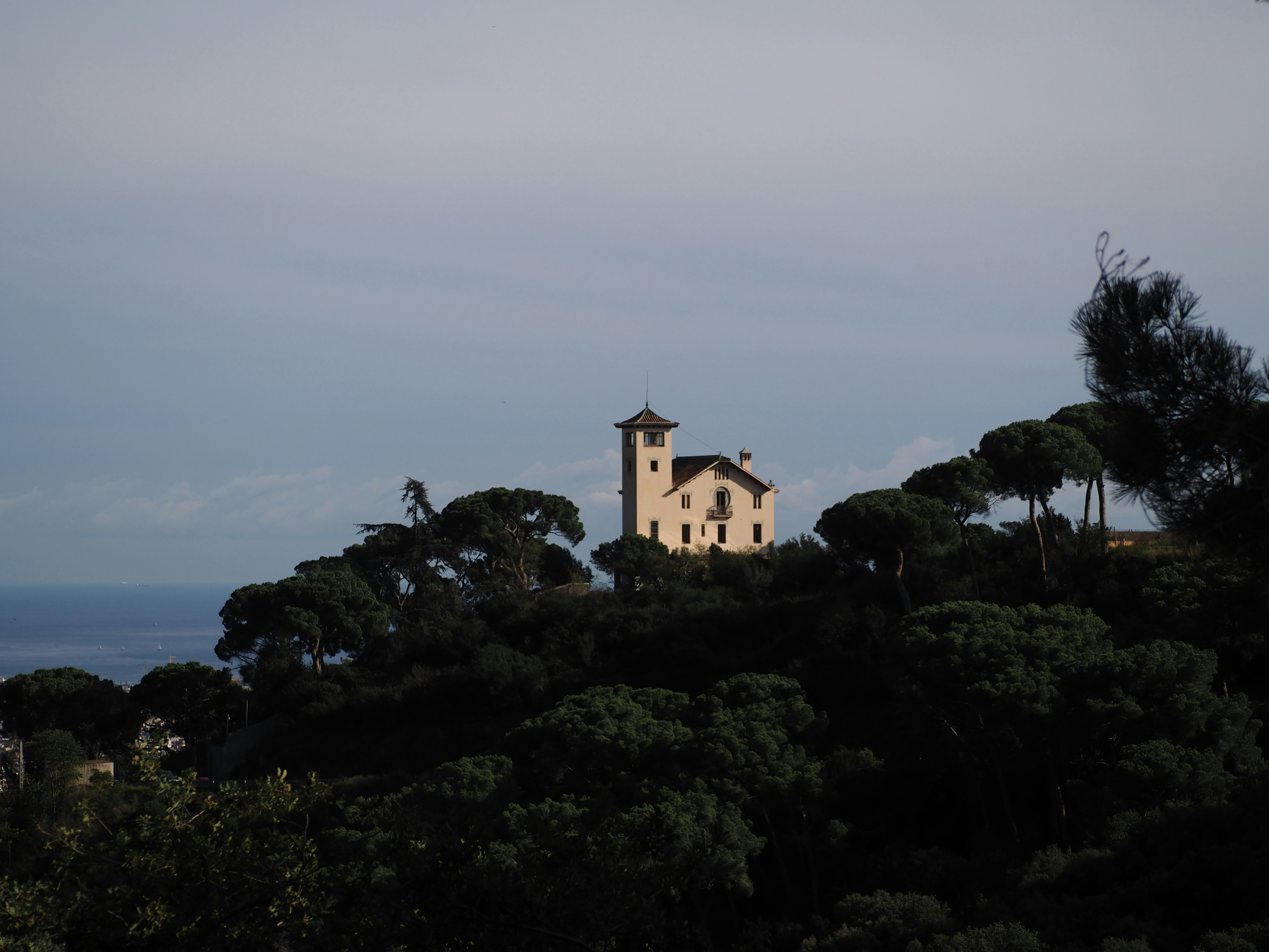 Photo by mrlnmntlnrt