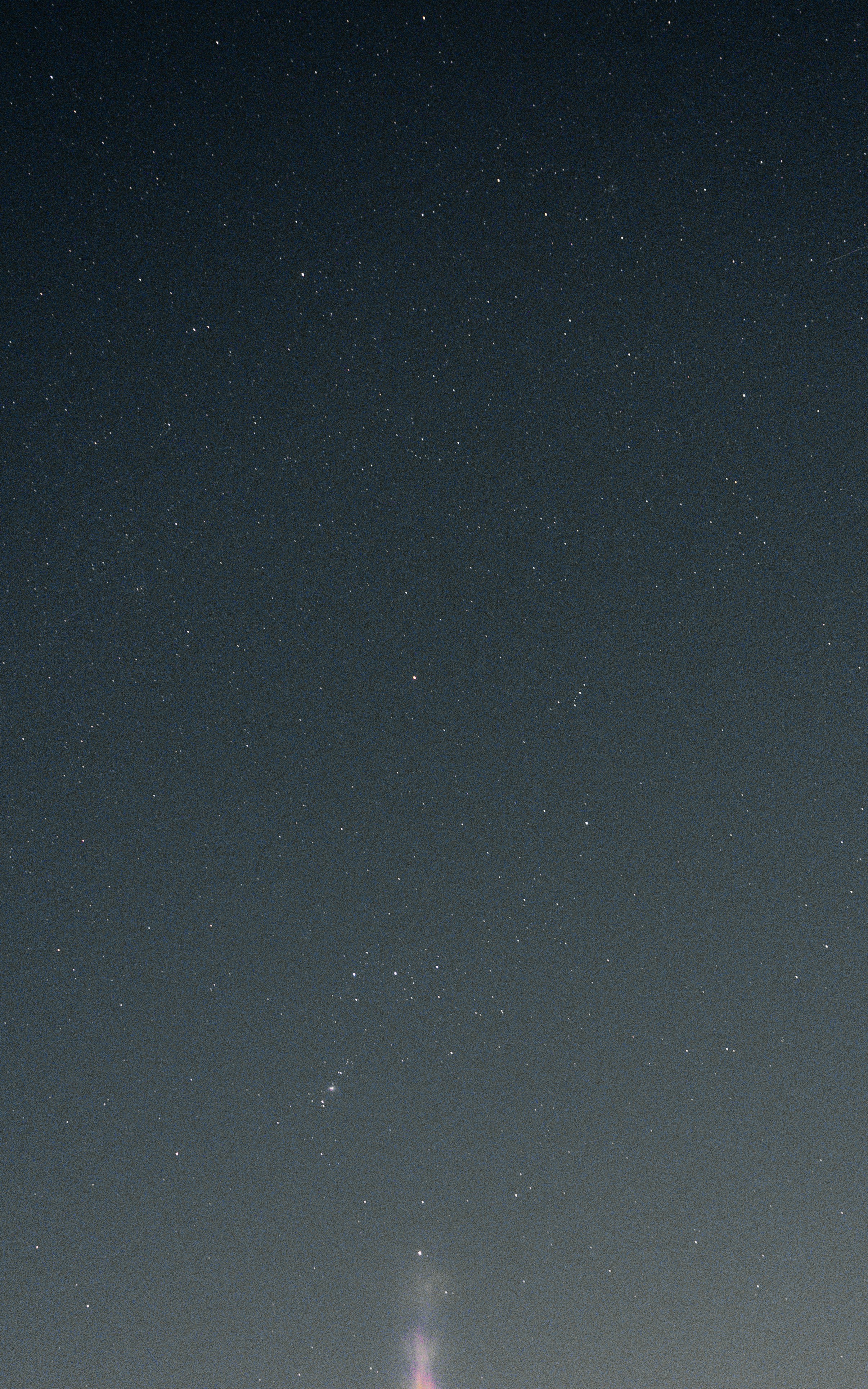 Photo by colefreeman