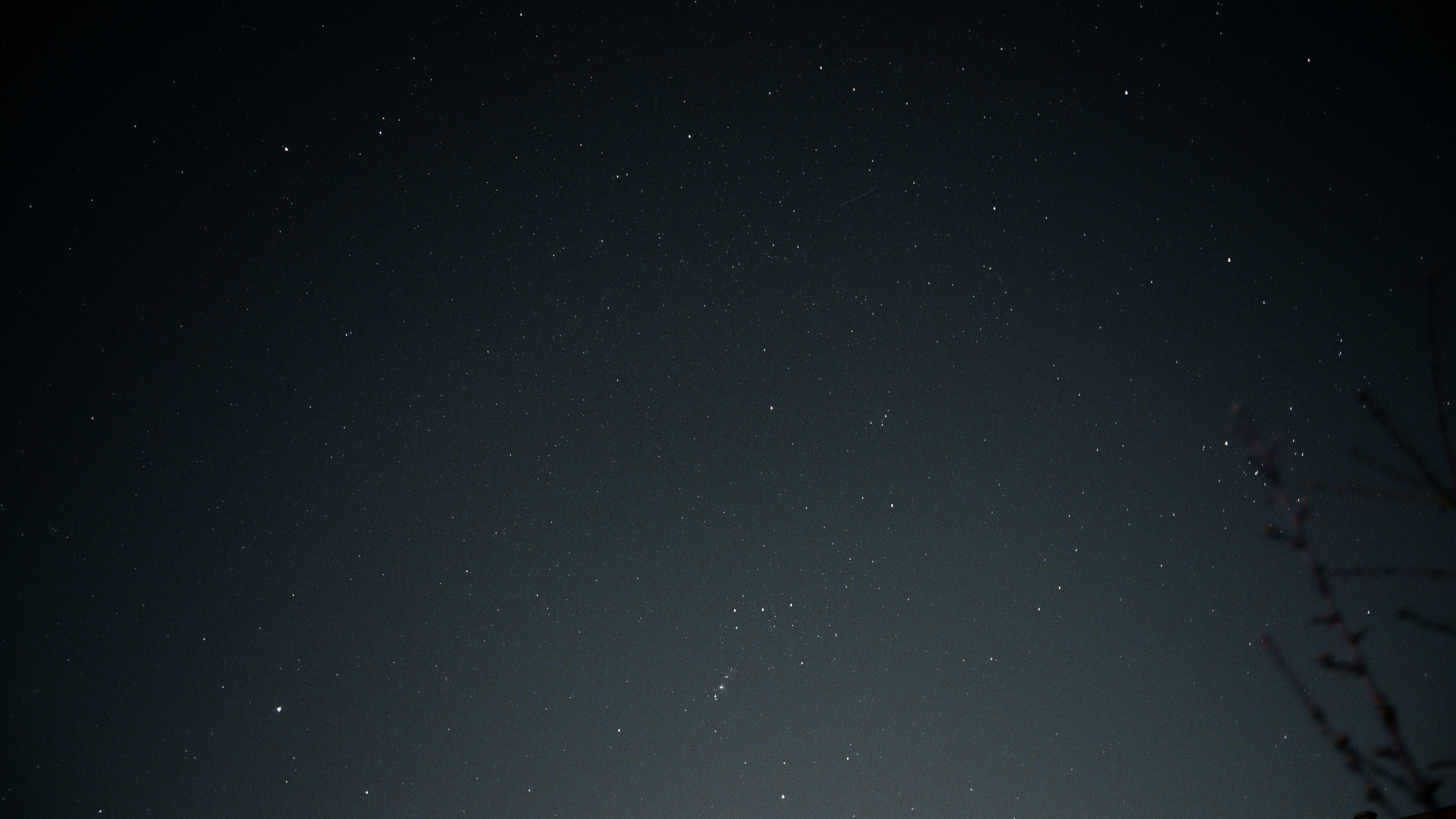 Photo by colefreeman