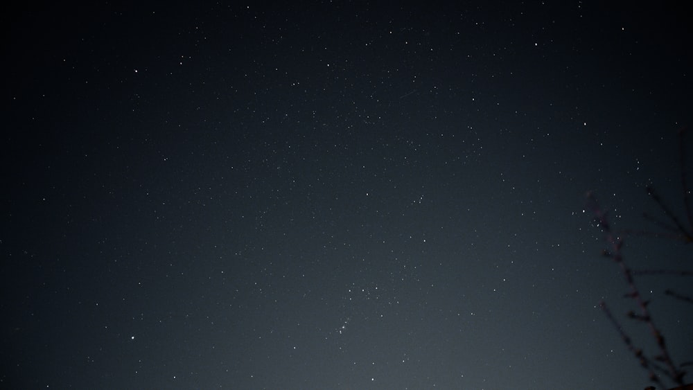 Foto de estrellas en el cielo durante la noche – Imagen gratuita Astronomía  en Unsplash