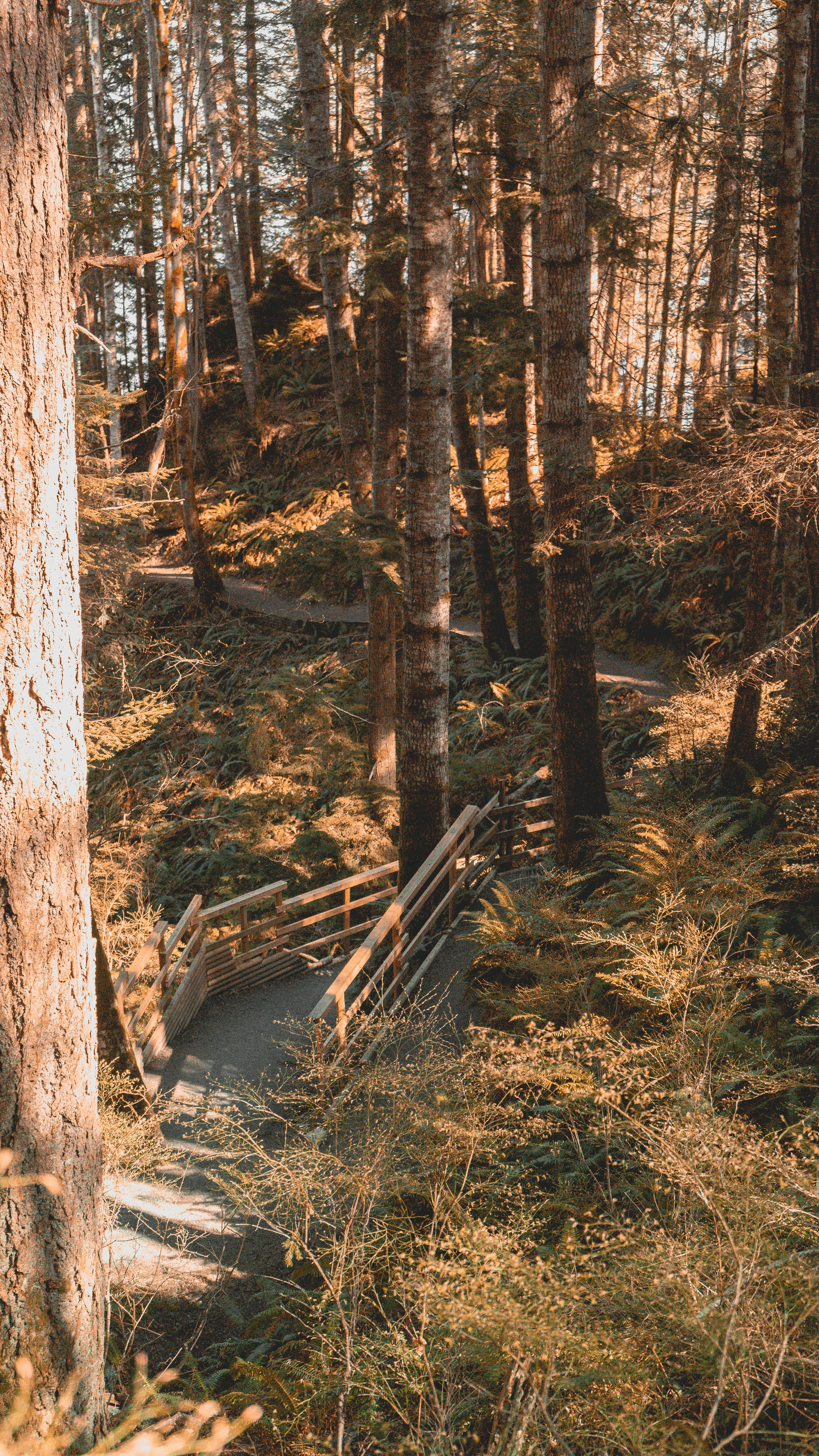 Photo by colefreeman