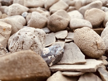 A variety of natural stone samples displayed.