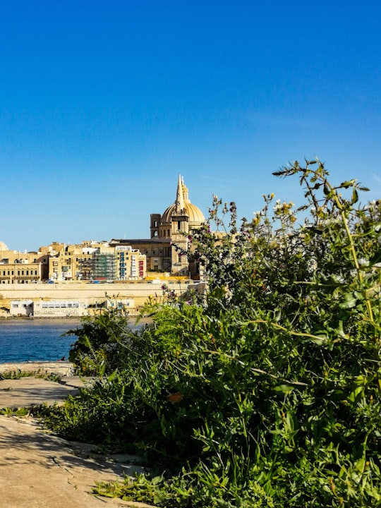 green plants near body of water during daytime in Valetta Malta