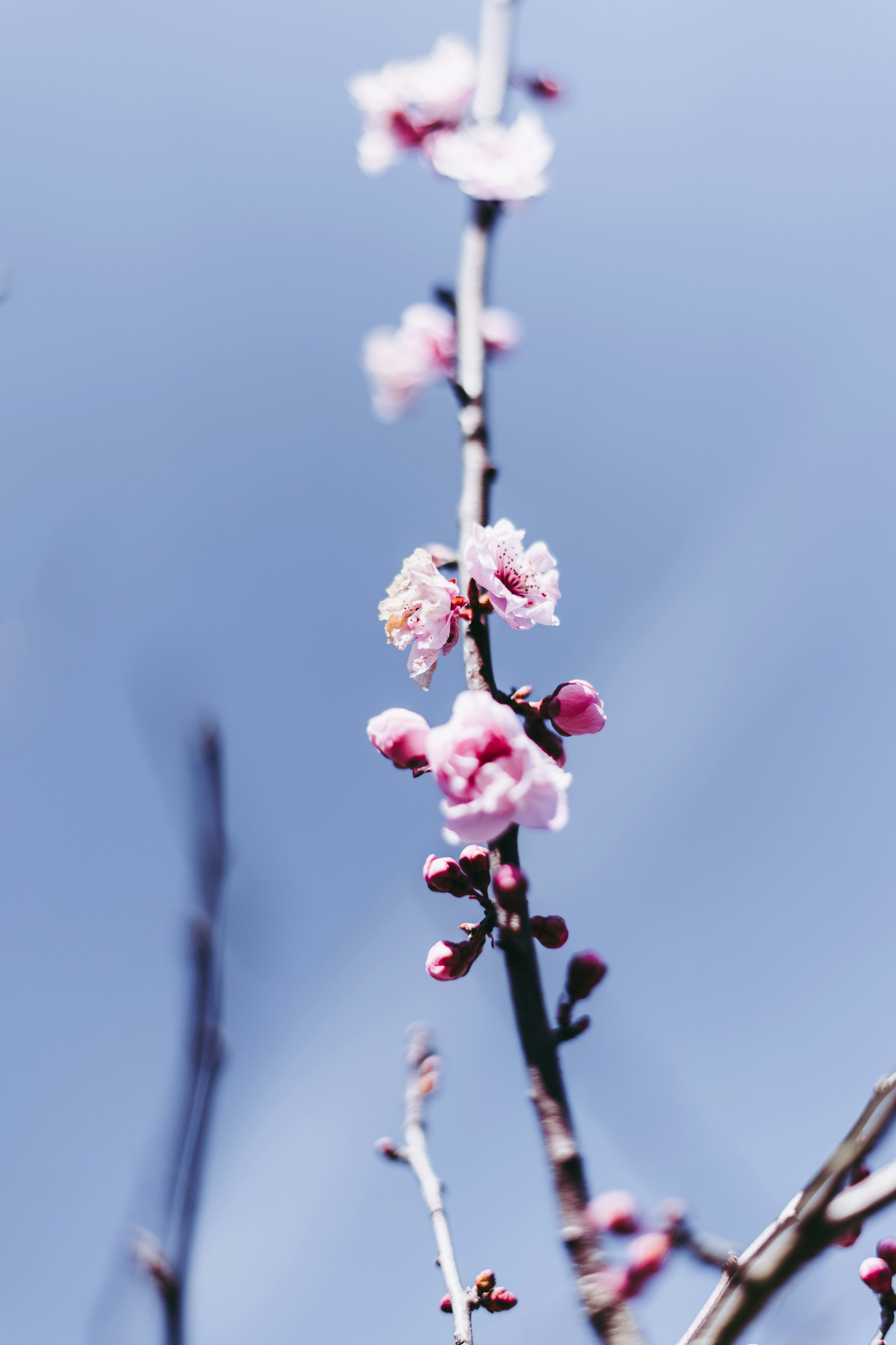 Photo by virussinside