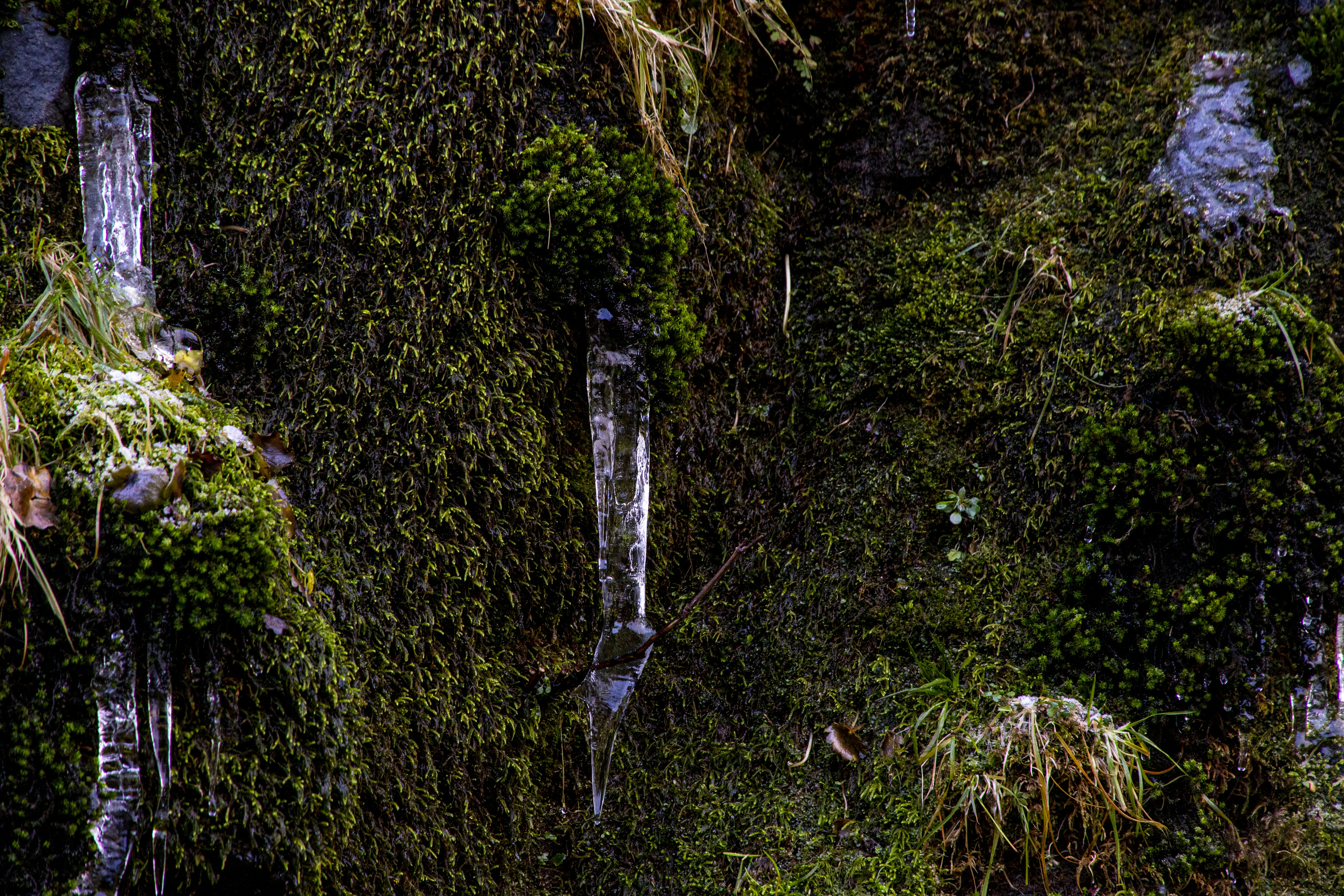 Photo by robincanfield