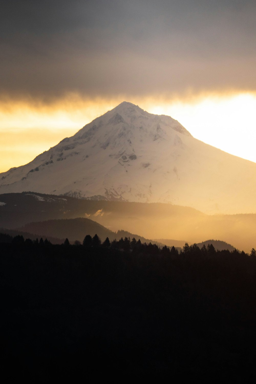 silhouette of trees and mountain during sunset