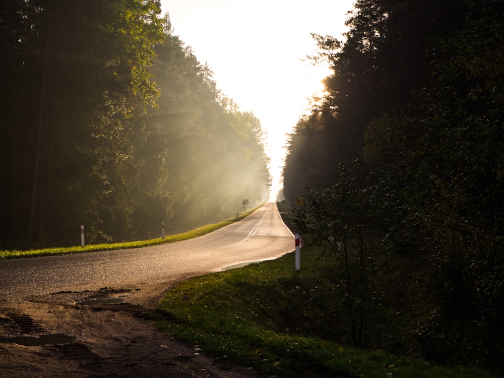 Champ d’herbe verte avec des arbres pendant la journée