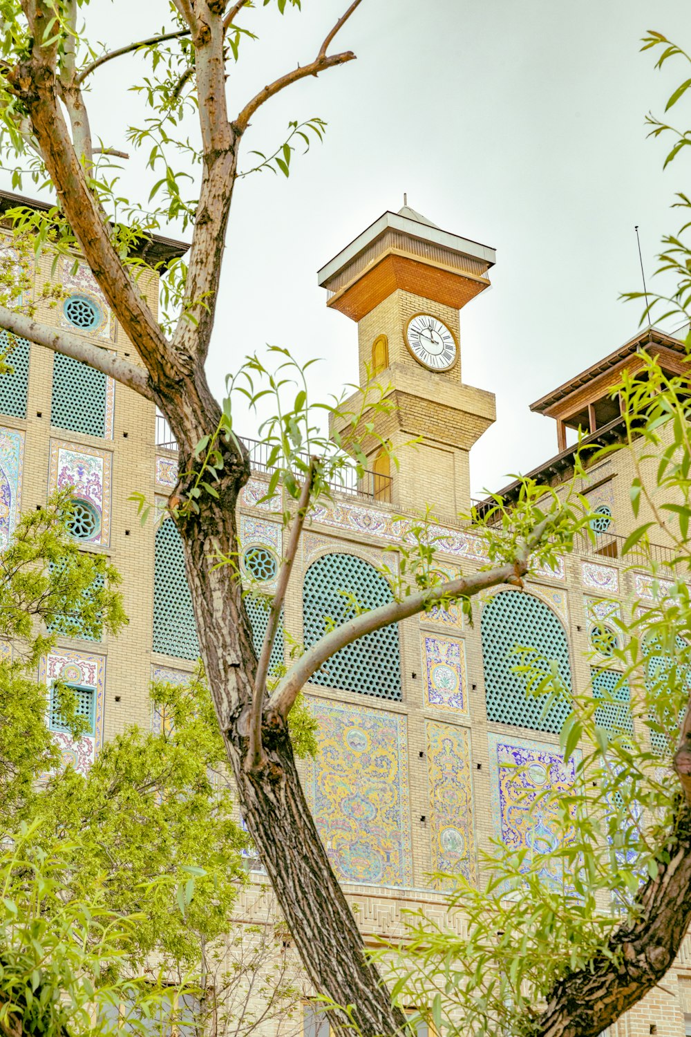 Árbol marrón con hojas verdes cerca de un edificio de hormigón blanco durante el día