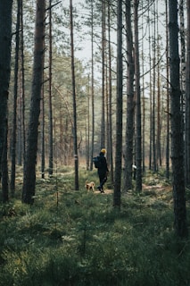 man in black jacket and brown dog walking on forest during daytime