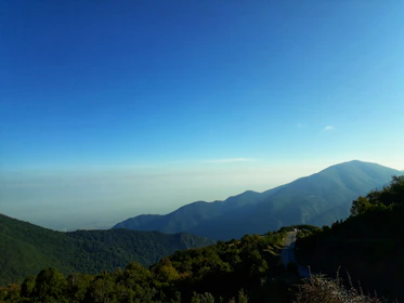 A panoramic view of a winding mountain trail surrounded by lush green forests.