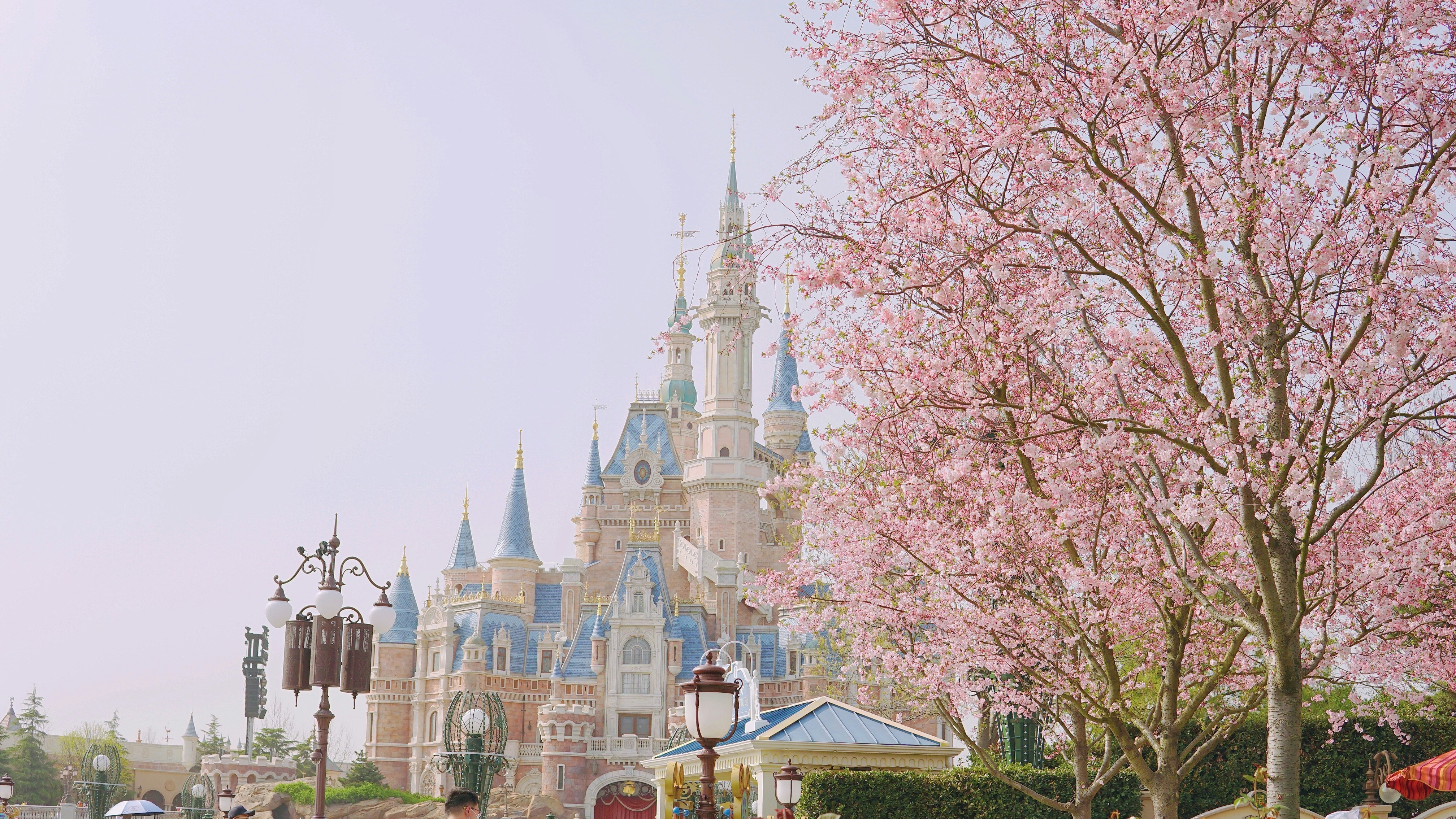 white and blue concrete building near brown trees during daytime, 