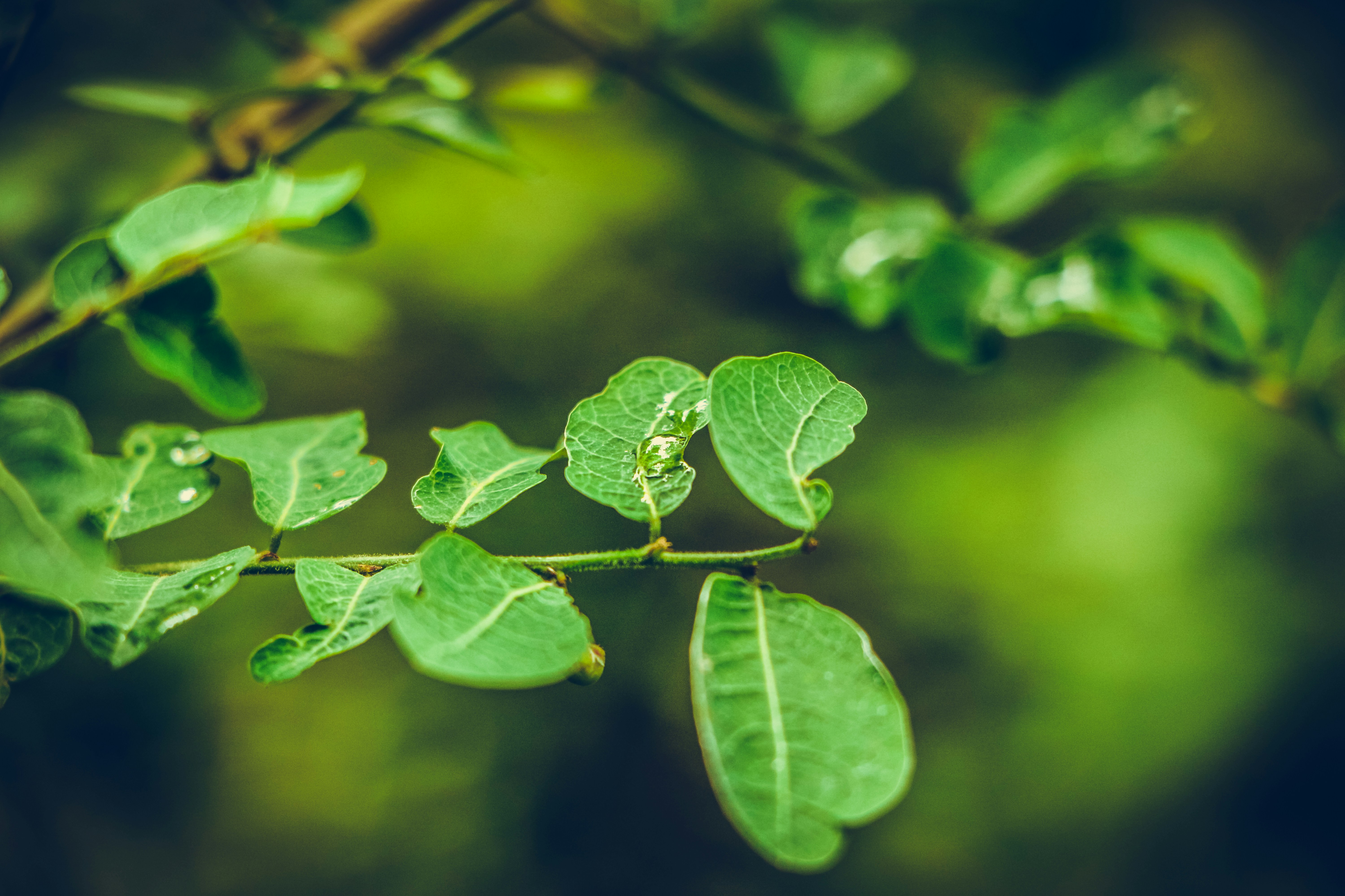 Photo by logesh_5567