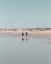 2 person walking on beach during daytime