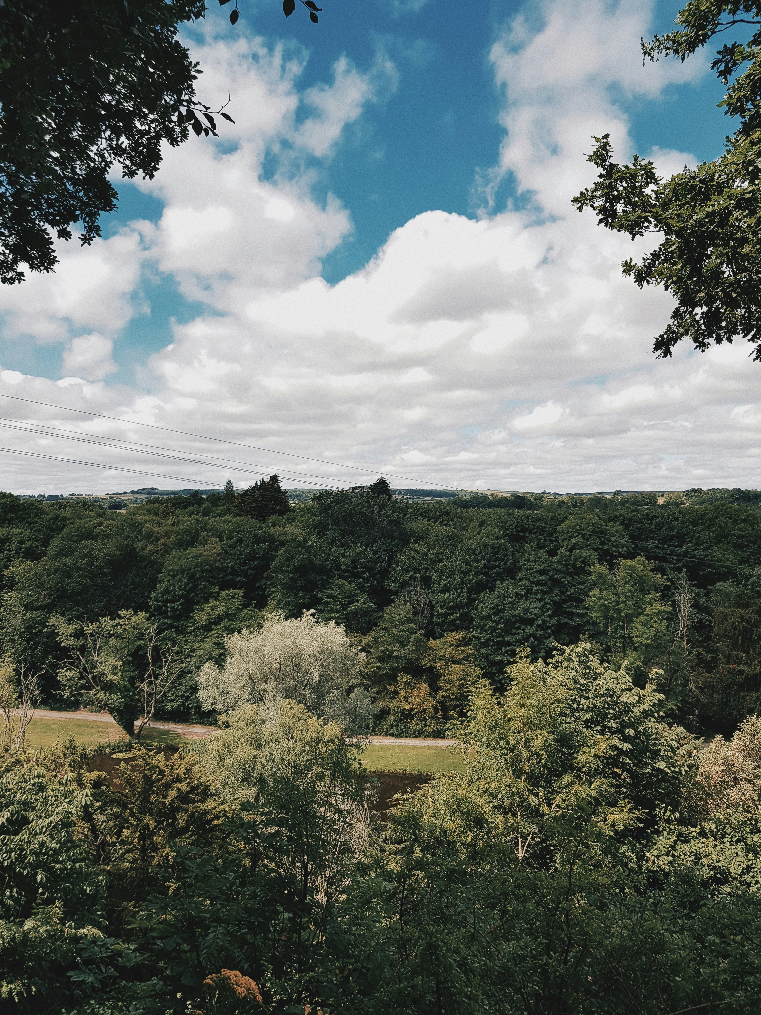 Photo by pablorammos