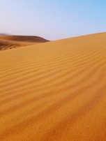 An elegant desert safari with golden sand dunes stretching into the horizon under a clear blue sky.