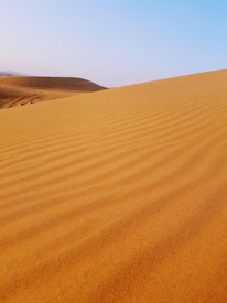 A serene desert landscape with golden dunes under a clear blue sky.
