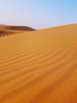 A serene desert landscape with golden dunes under a clear blue sky.
