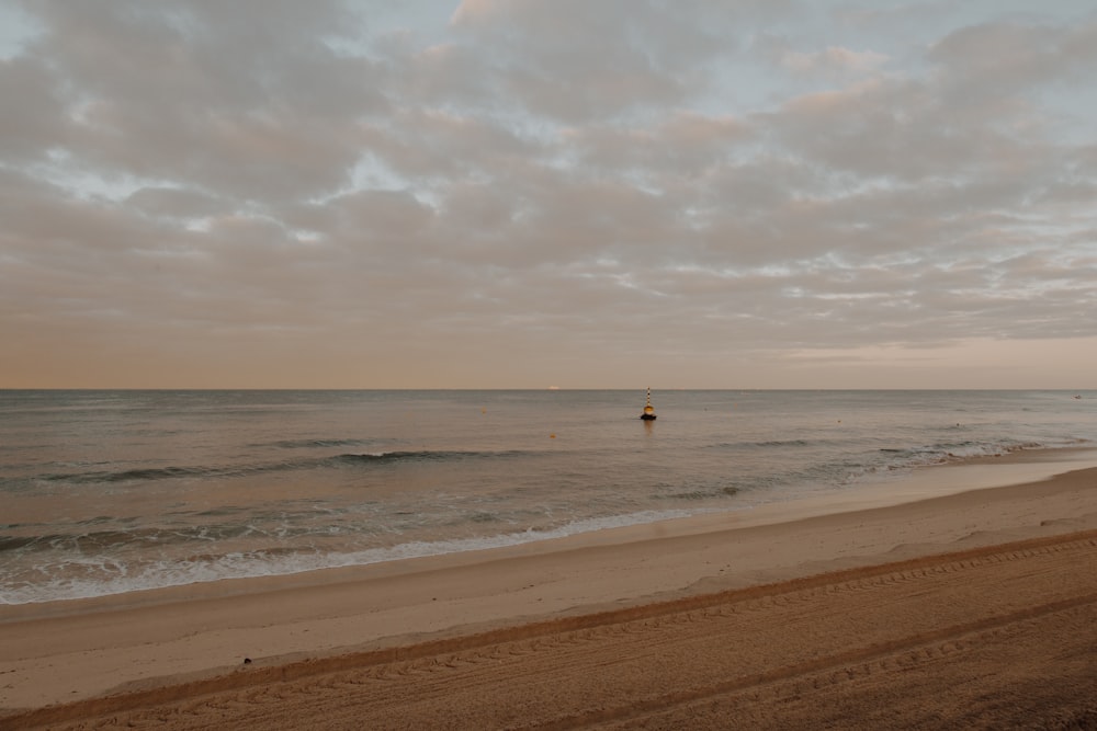 person walking on beach during daytime