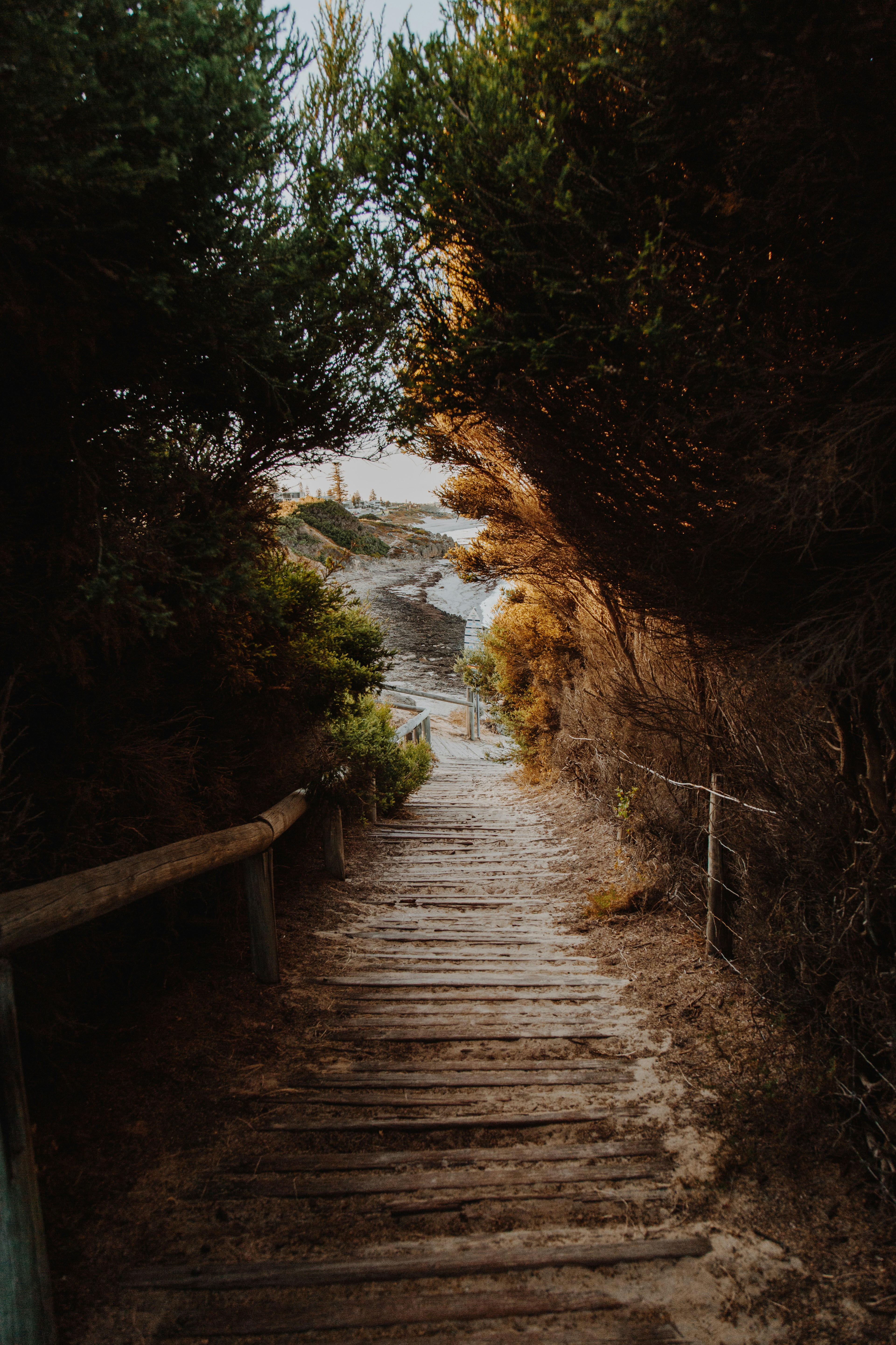 Photo by i_am_simoesse