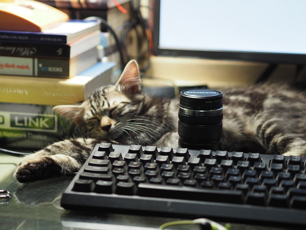 silver tabby cat on black computer keyboard