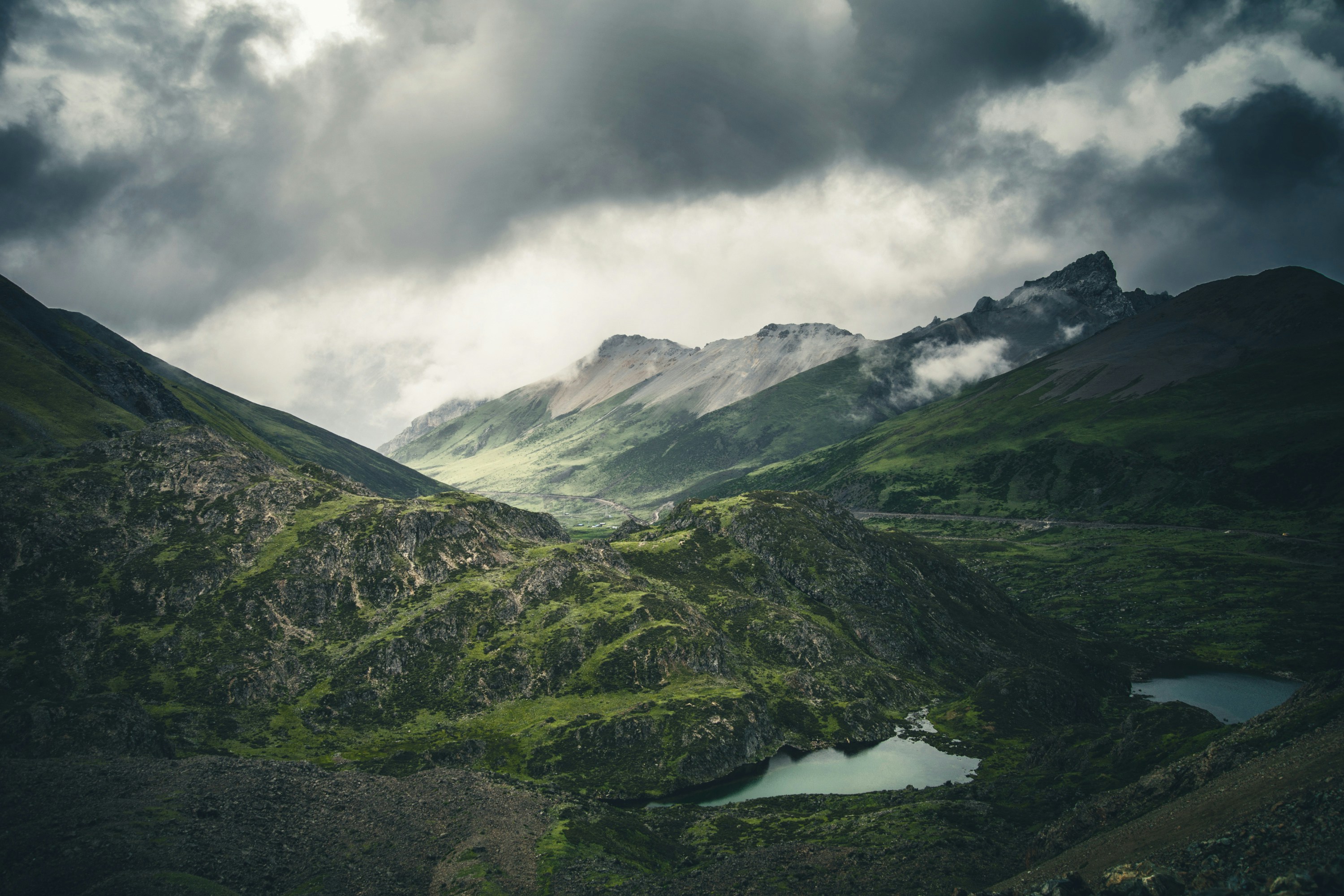 Photo by vincent_tint