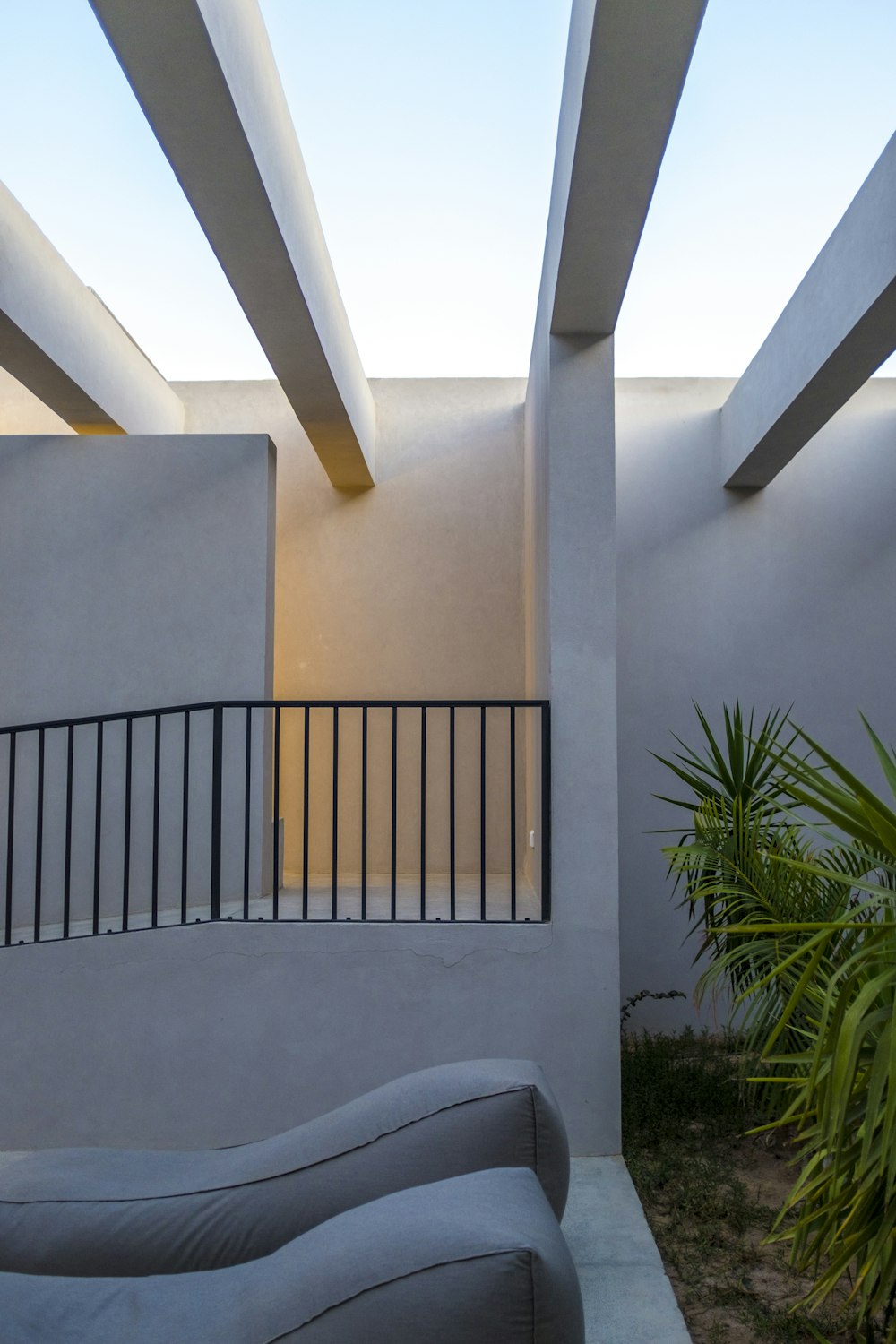 green plant beside white concrete wall