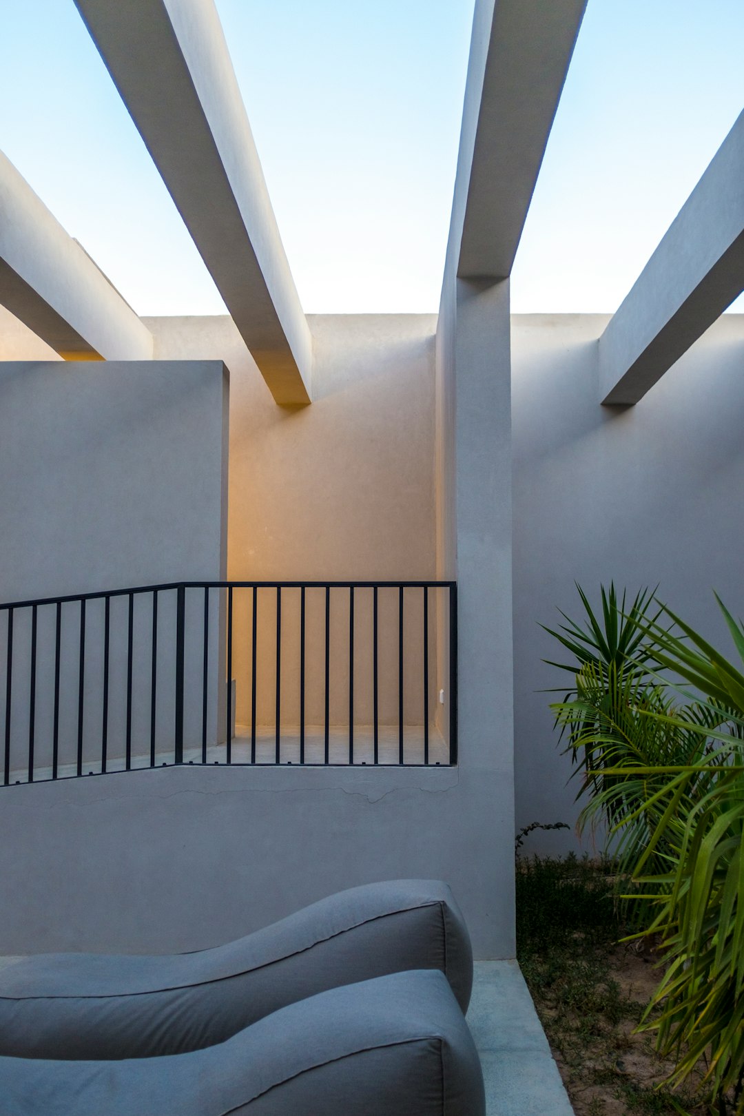 green plant beside white concrete wall