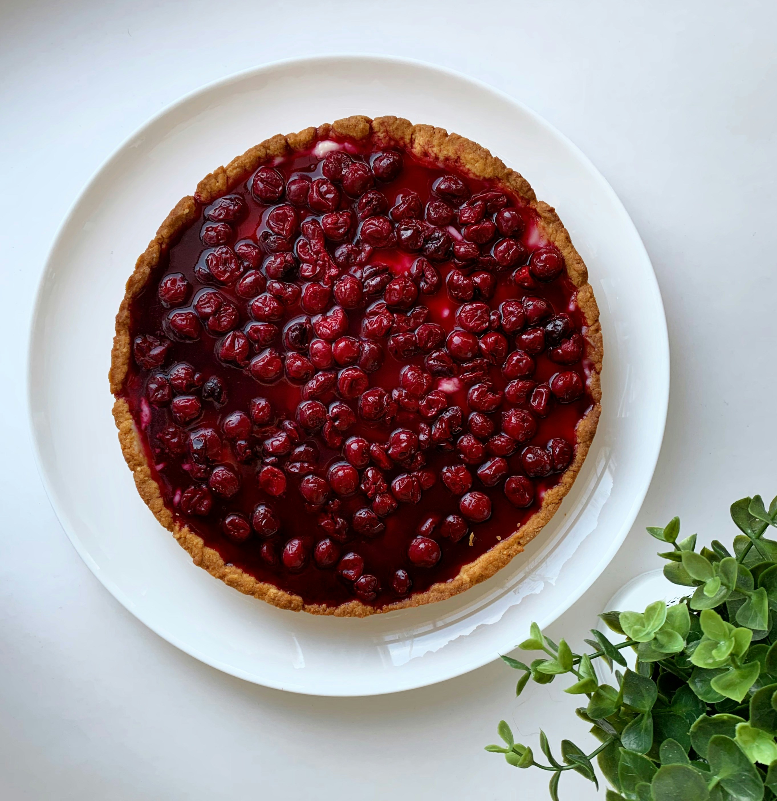 Photo by kat_katerina