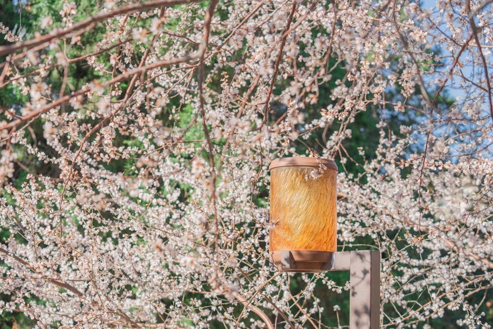 brown wooden box hanging on tree